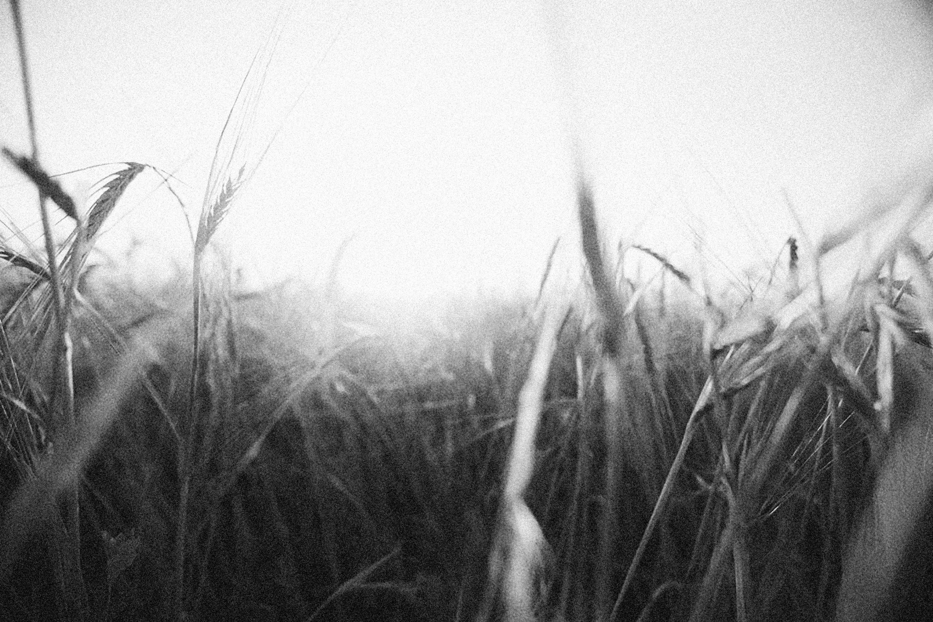 Photo by alexeydemidov