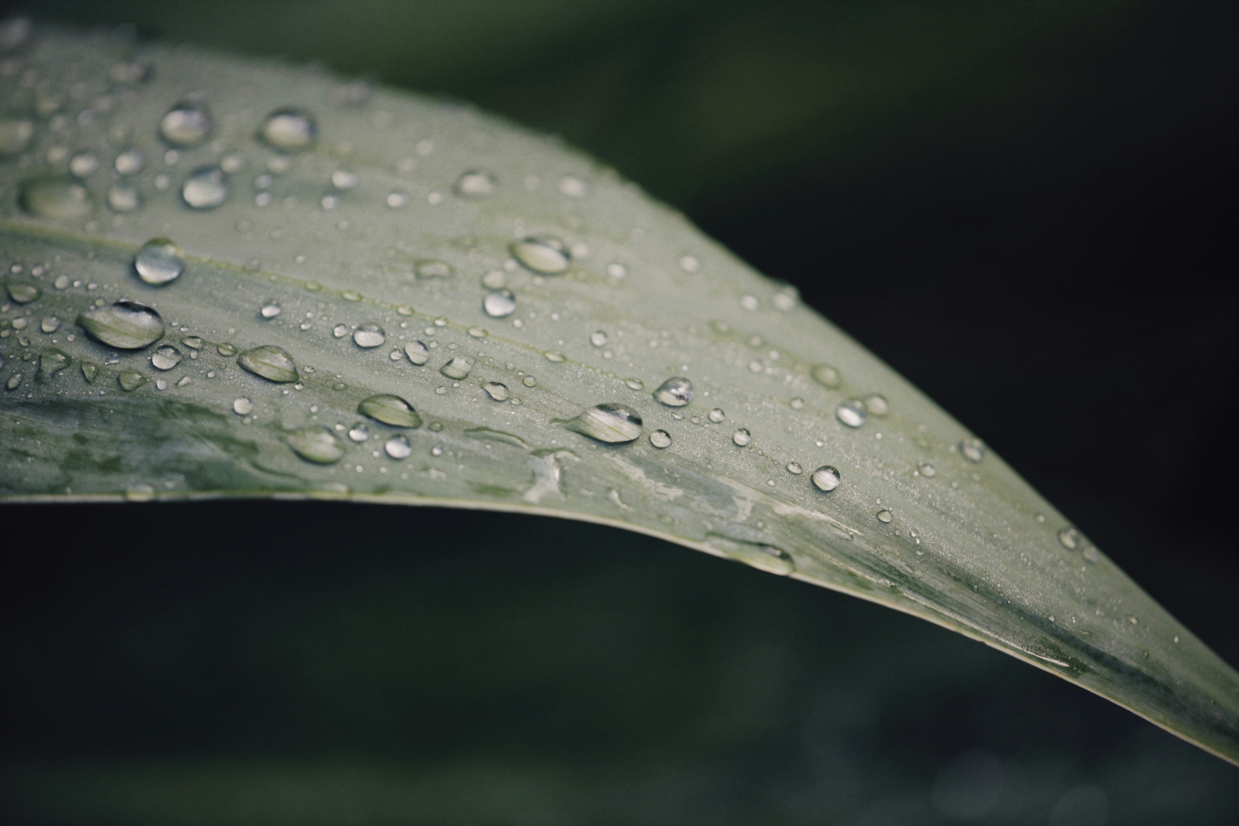 Photo by alexeydemidov