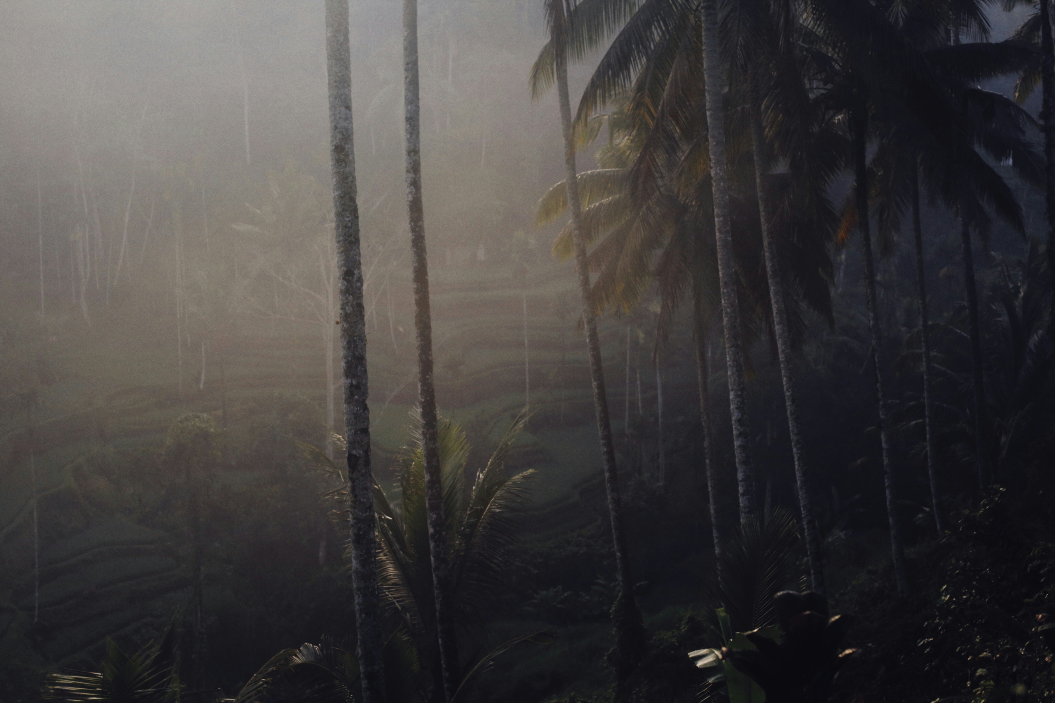 Photo by alexeydemidov