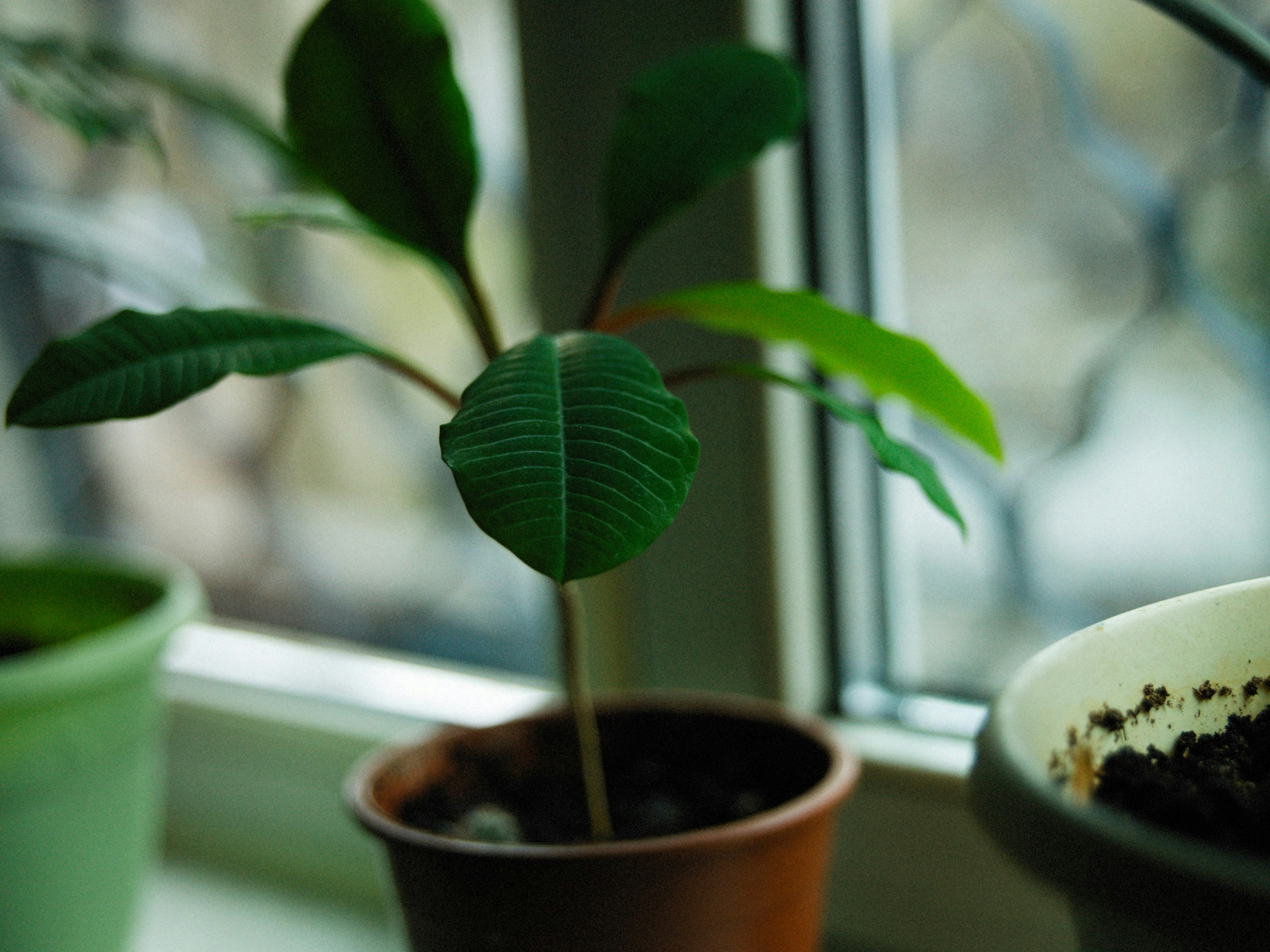 Photo by alexeydemidov