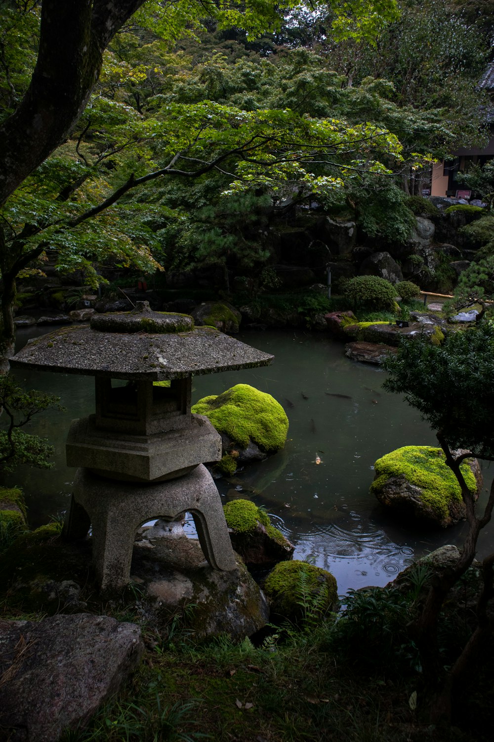 a small pond surrounded by rocks and trees