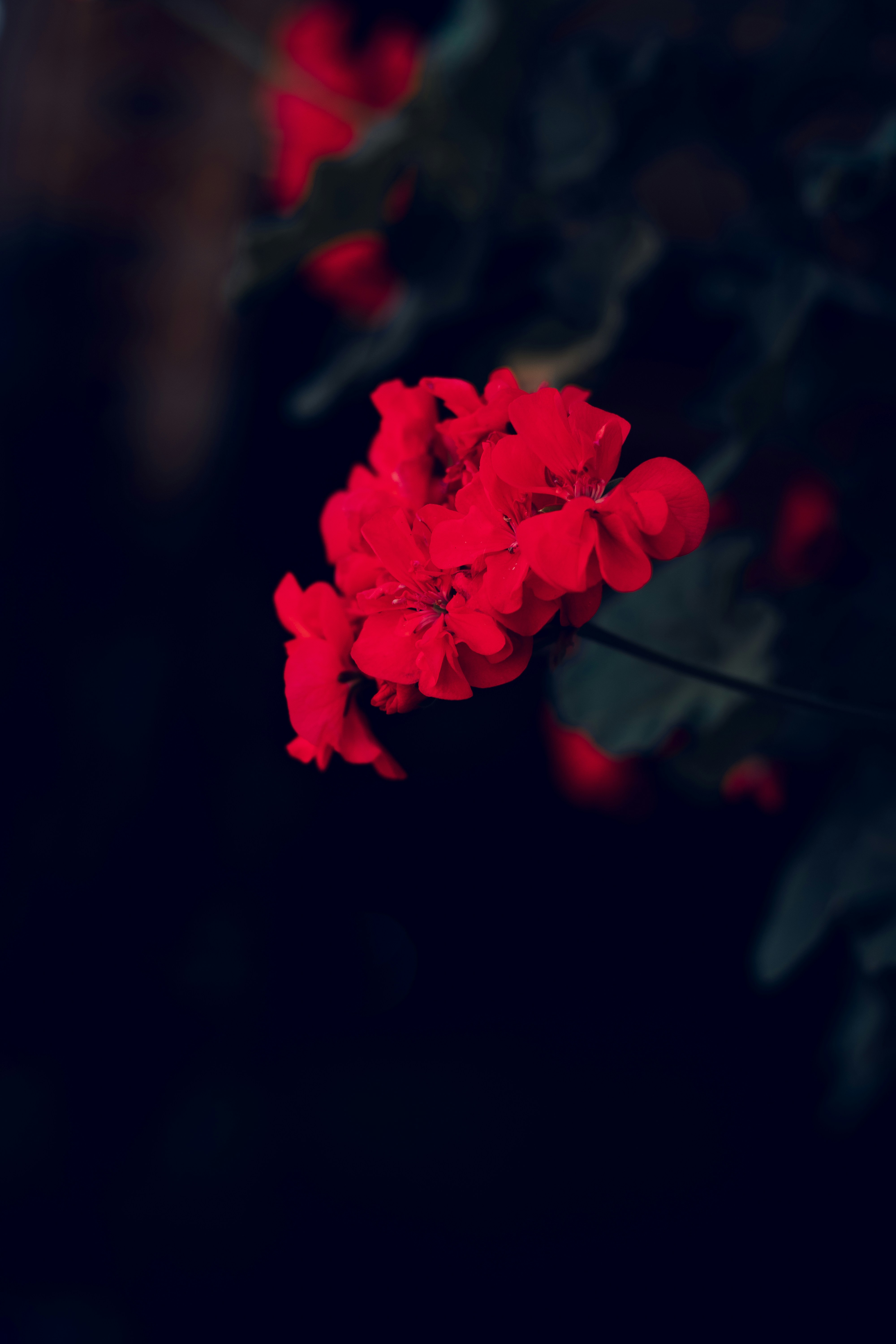 Photo by gamafilms1703