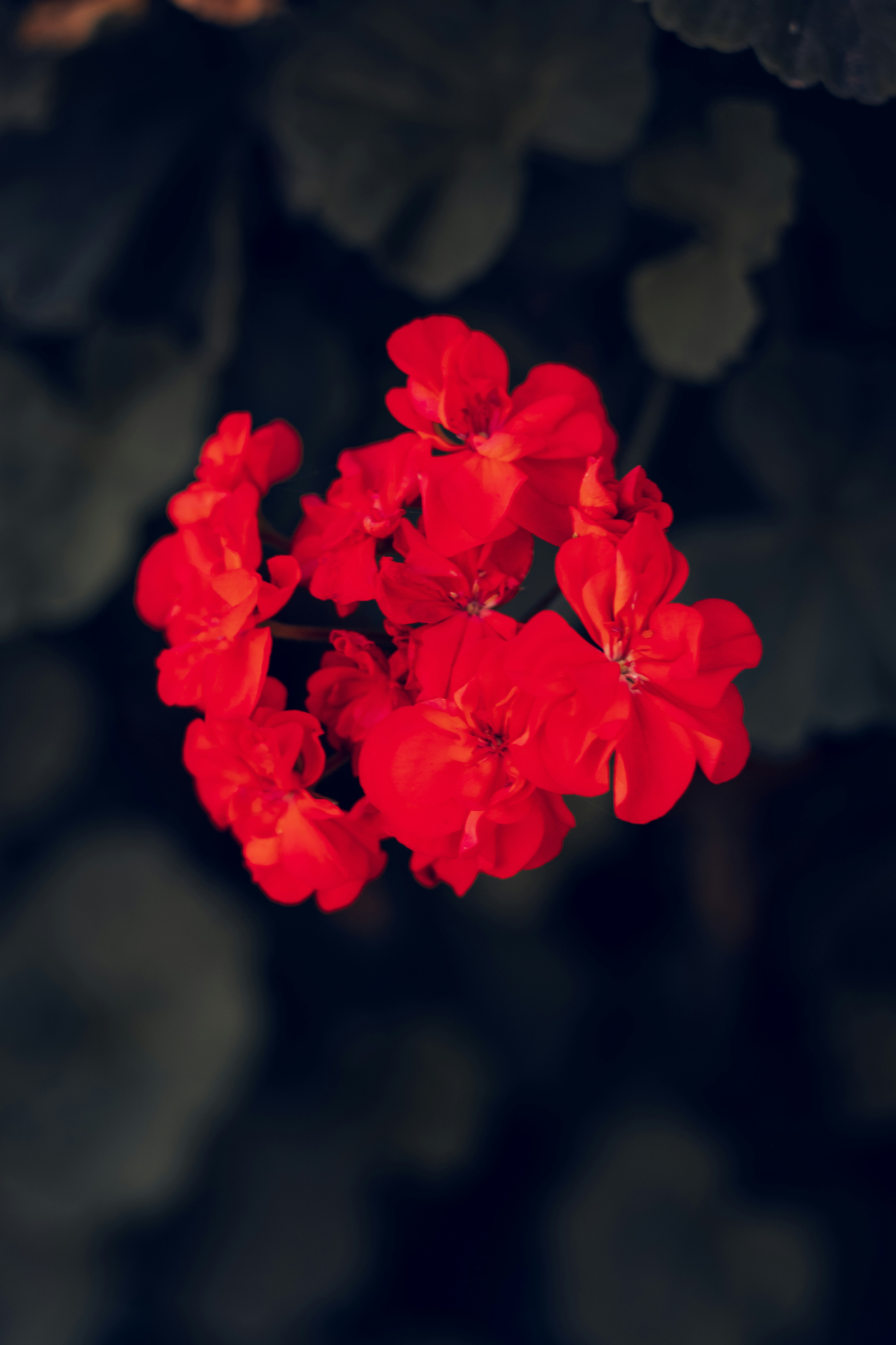 Photo by gamafilms1703