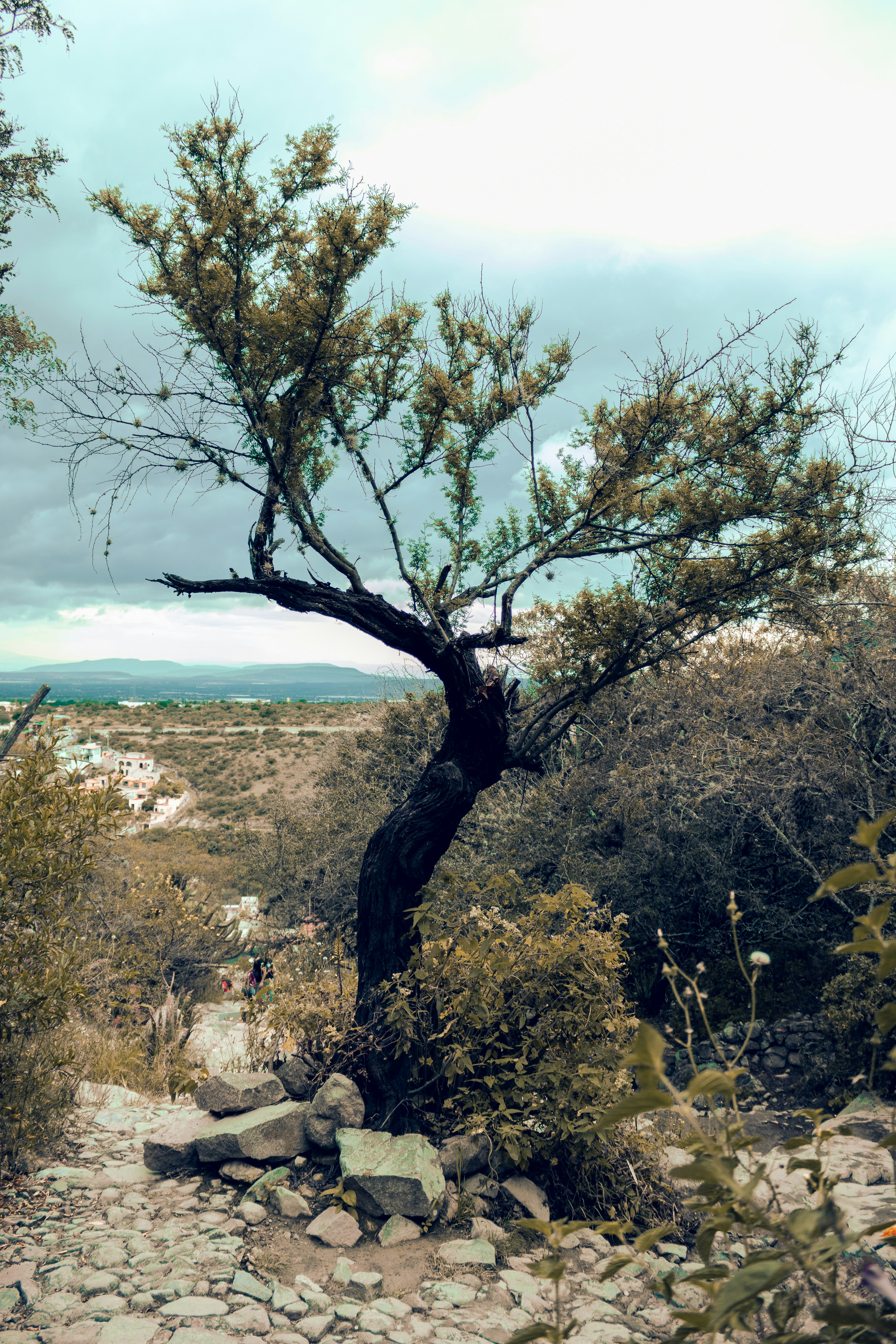 Photo by gamafilms1703
