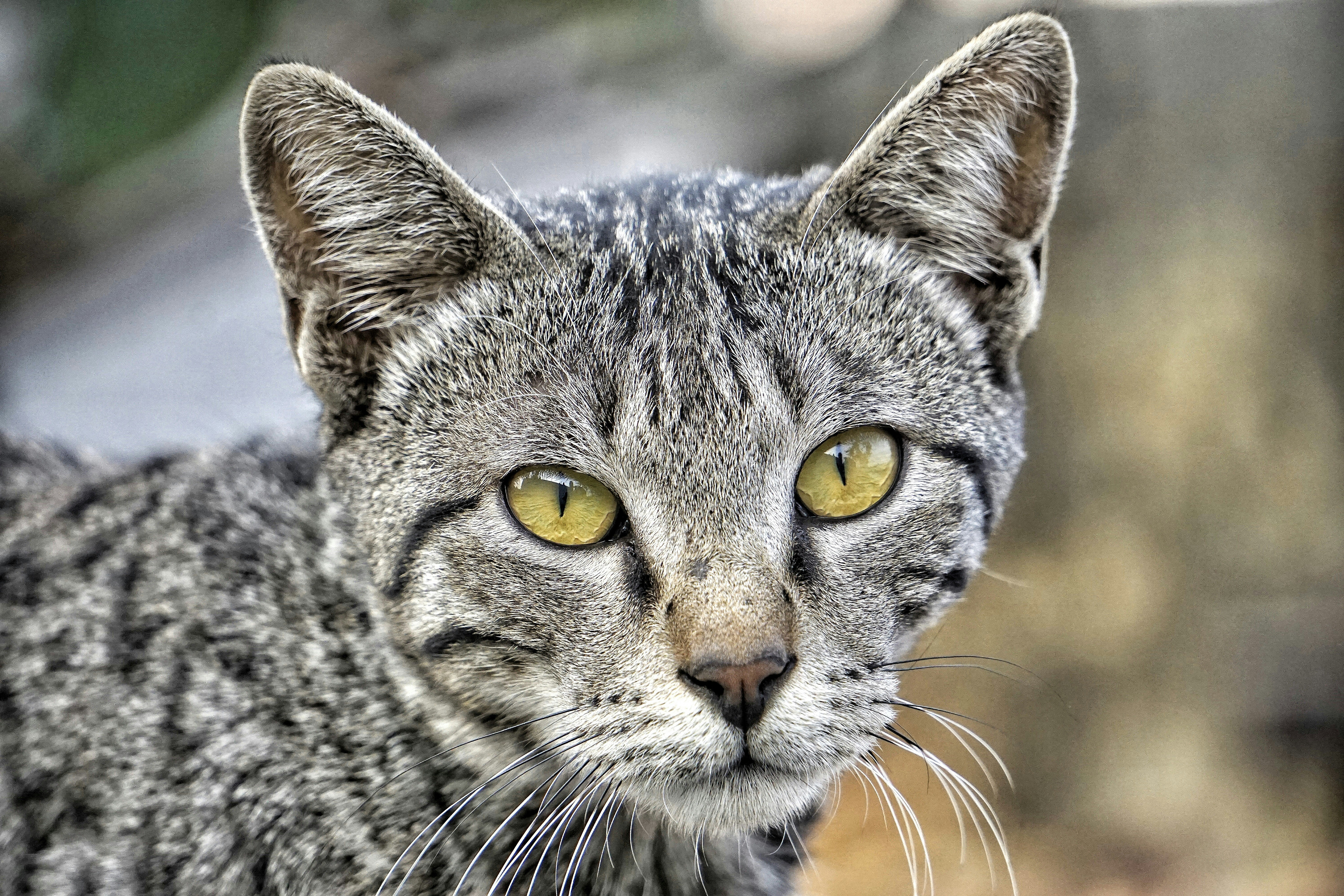 Photo by rds_shutter