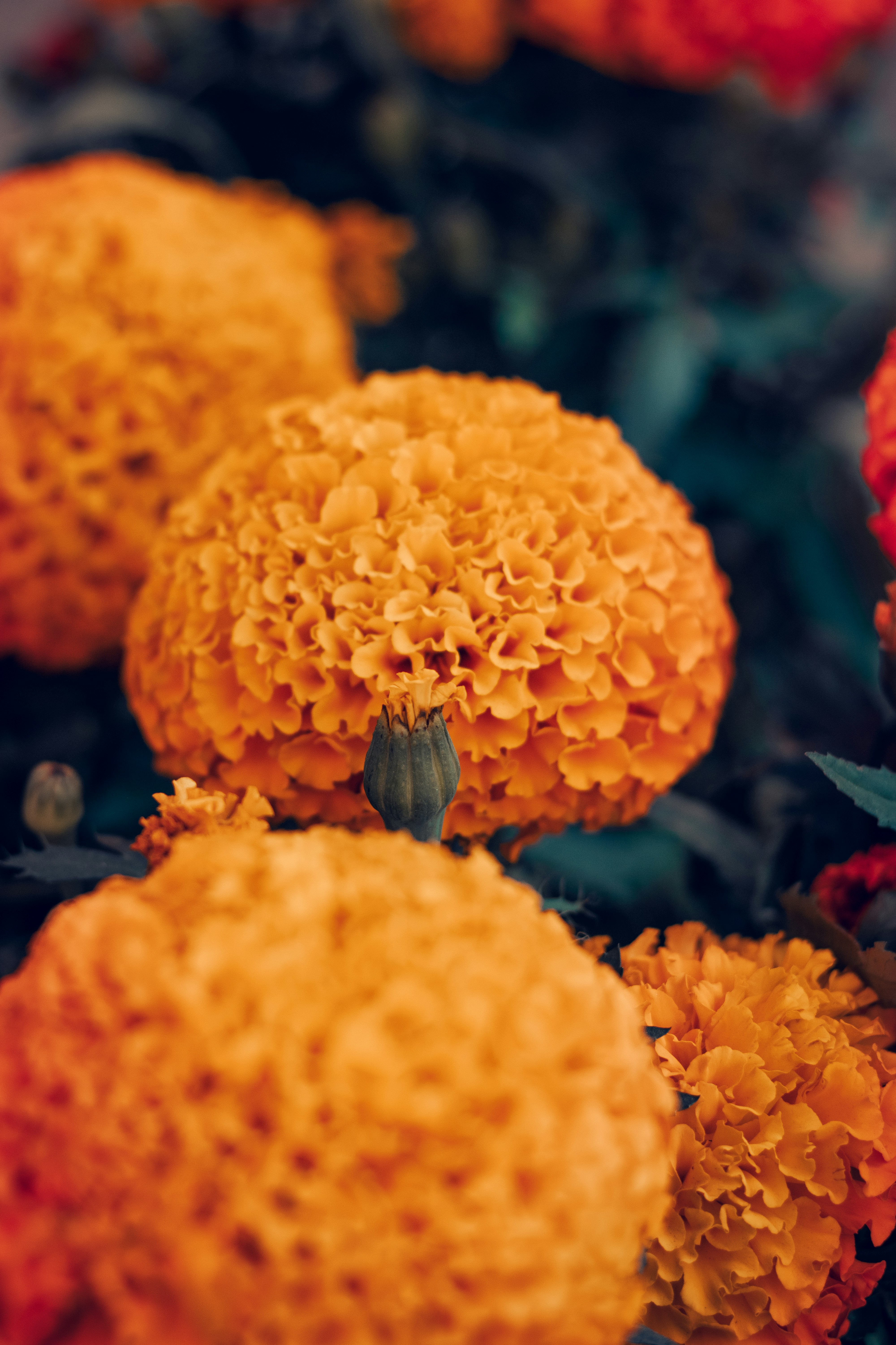 Photo by gamafilms1703