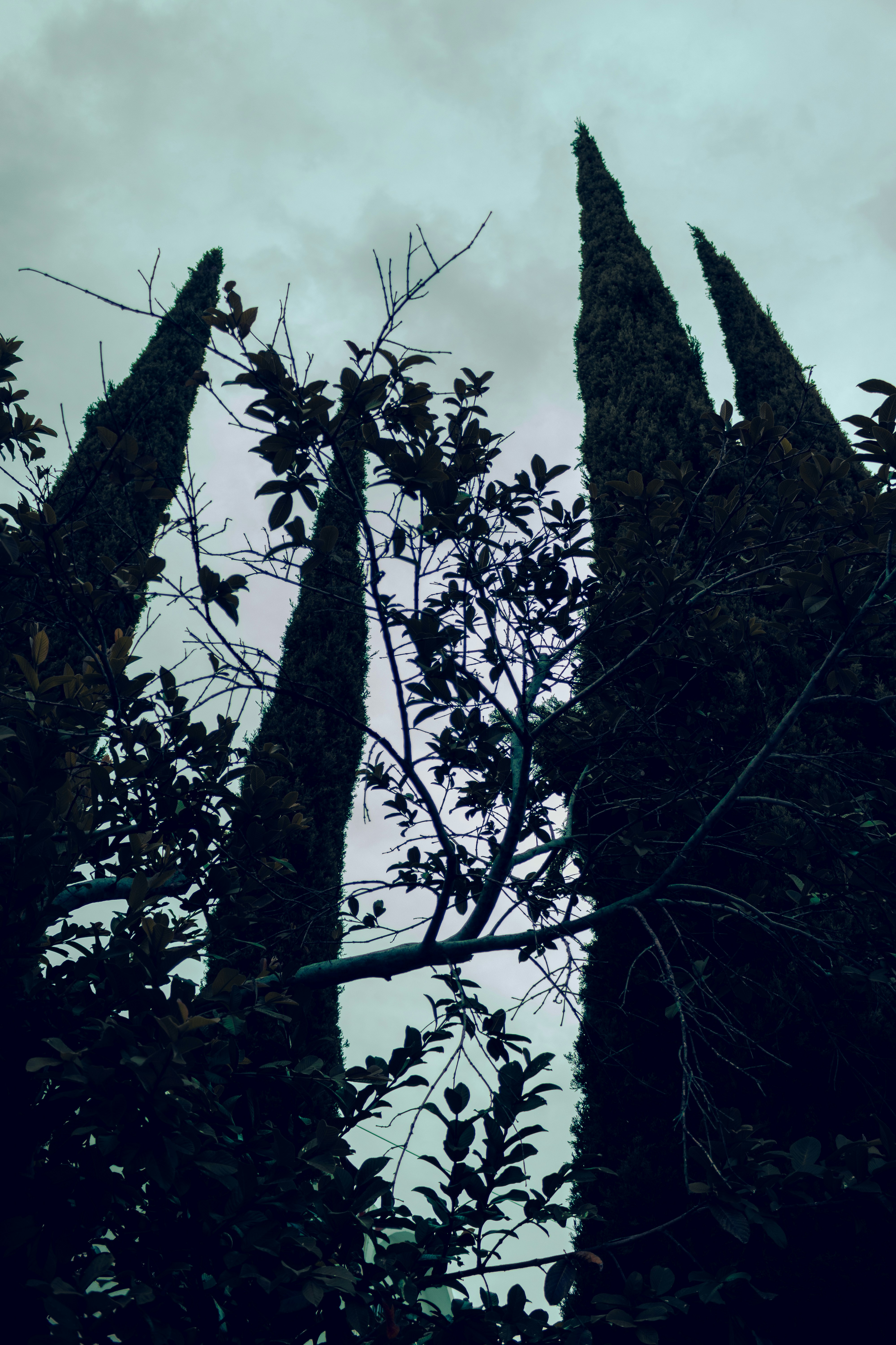 Photo by gamafilms1703