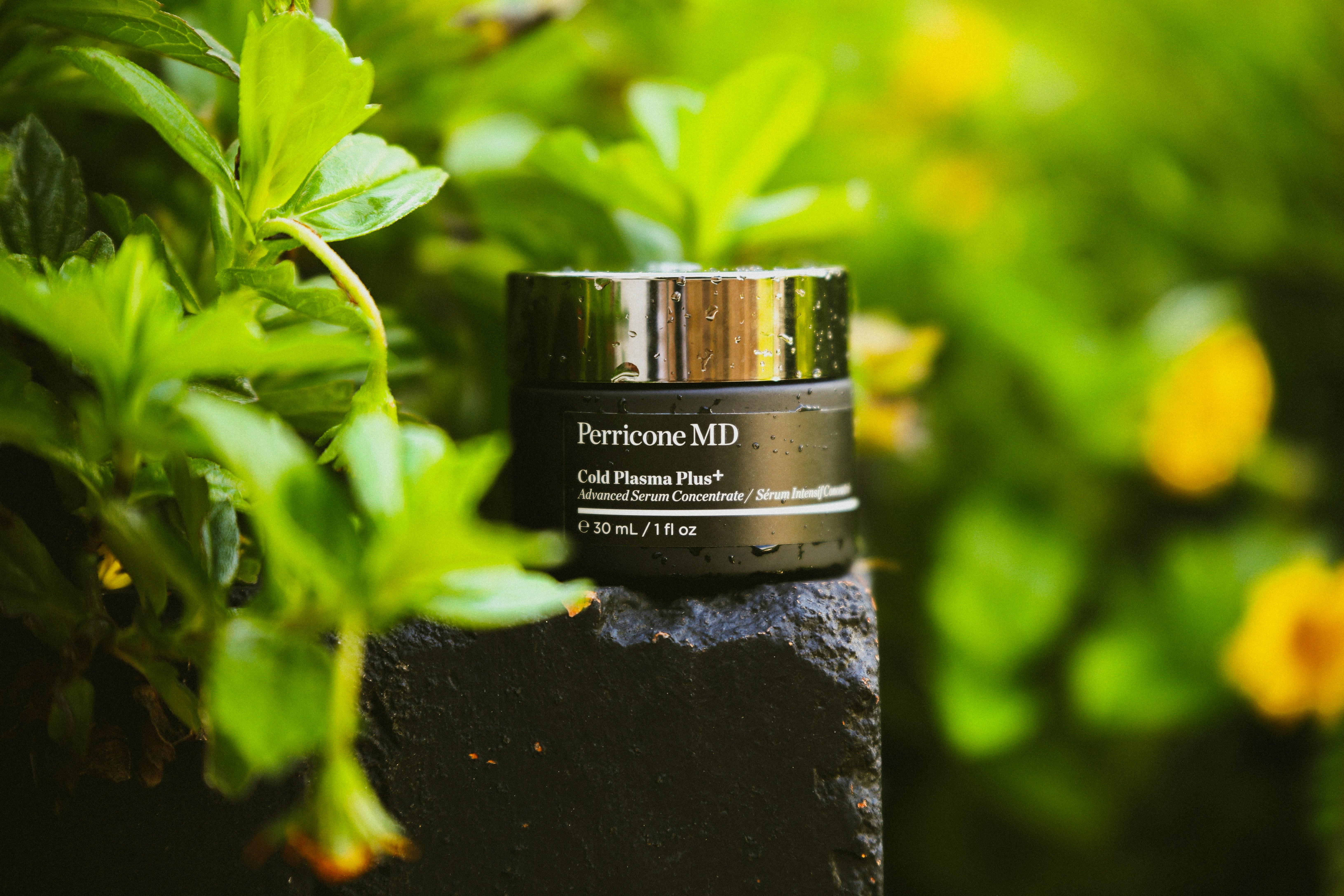 Photo by _carolineattwood