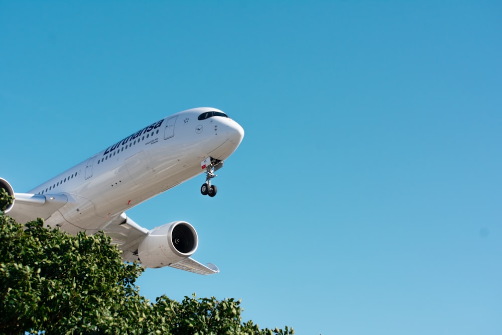 a large passenger jet flying through a blue sky