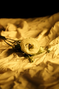 A delicate flower box resting on a marble table with soft natural light highlighting its elegance.