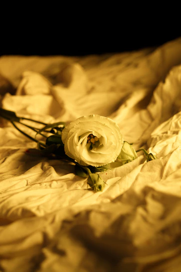 Soft blush pink silk scarf draped elegantly over a white marble table with delicate lavender flowers nearby.