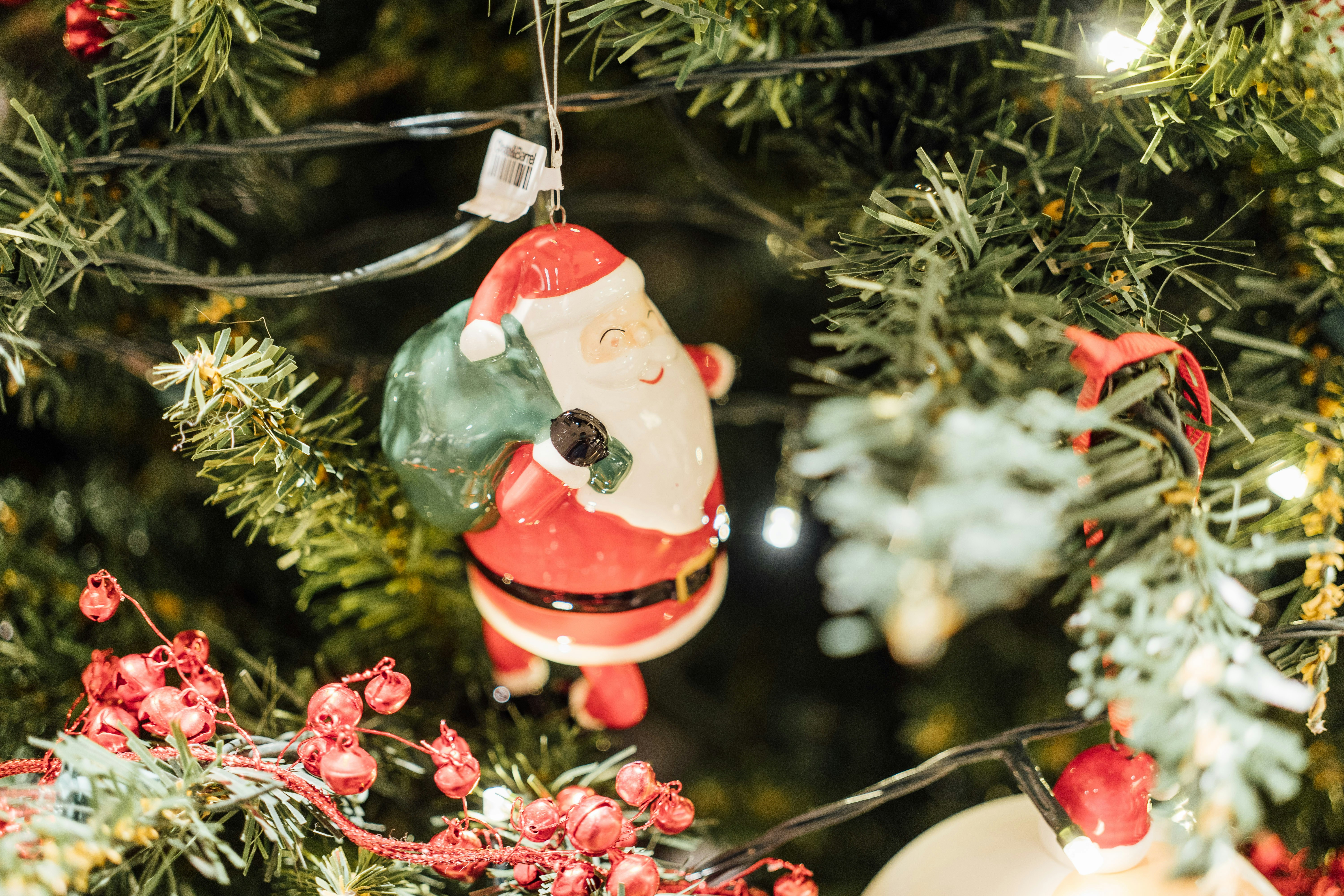 a christmas ornament hanging from a christmas tree
