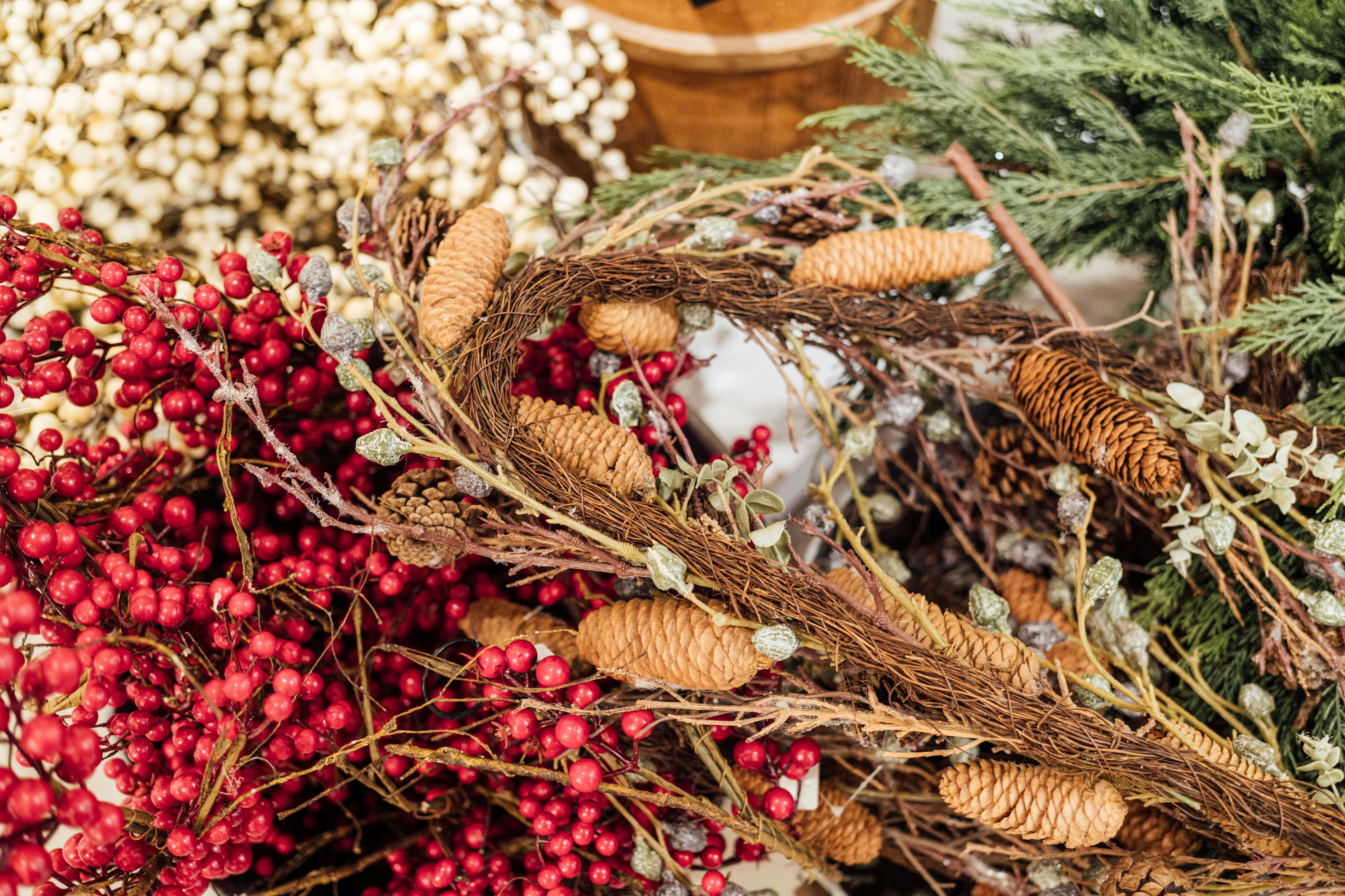 Photo by chuttersnap