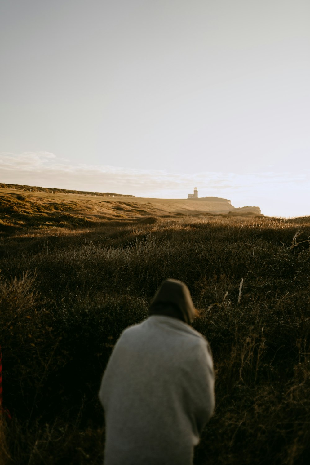 a person standing in a field with a sky background