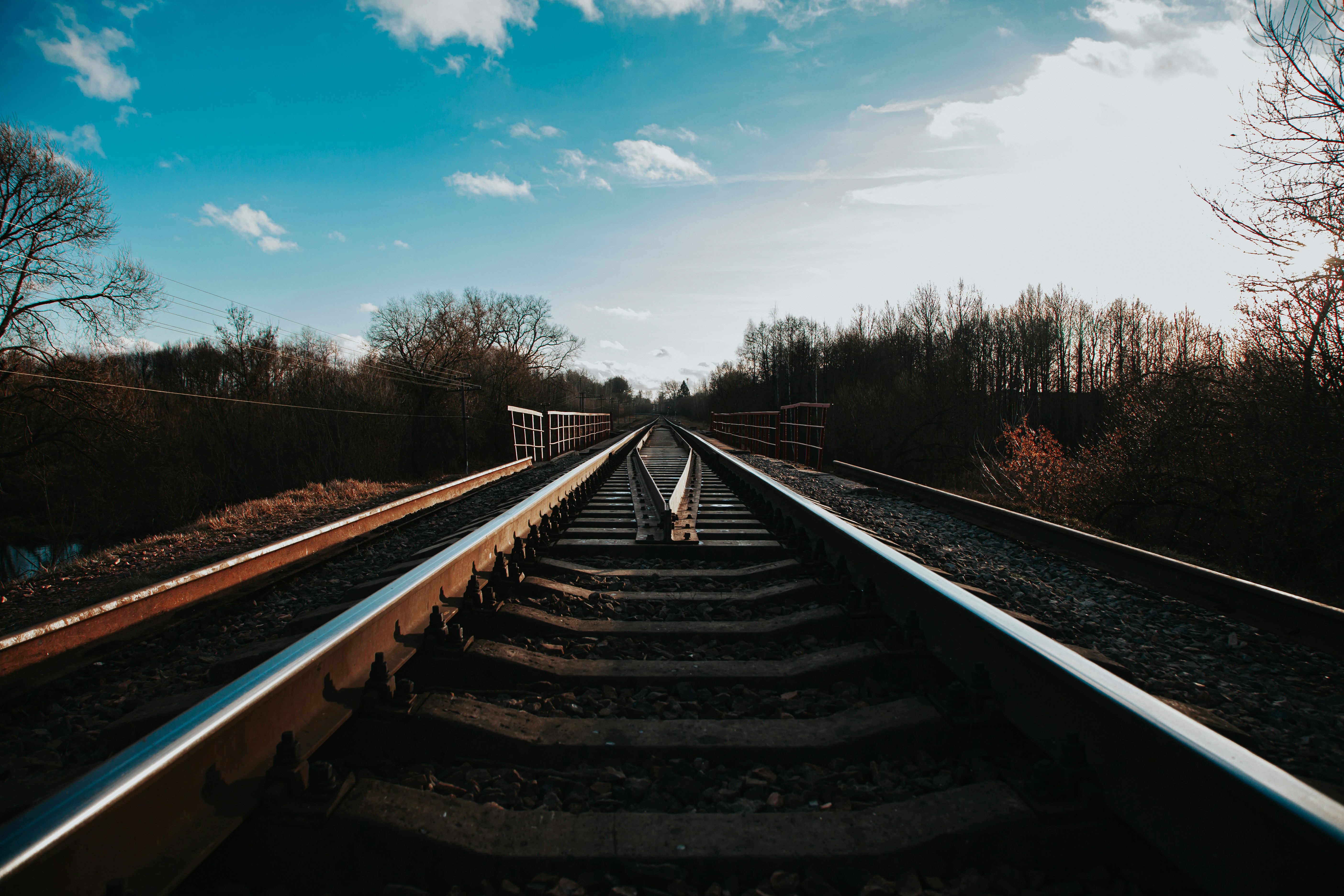 Photo by kiselewaleksey