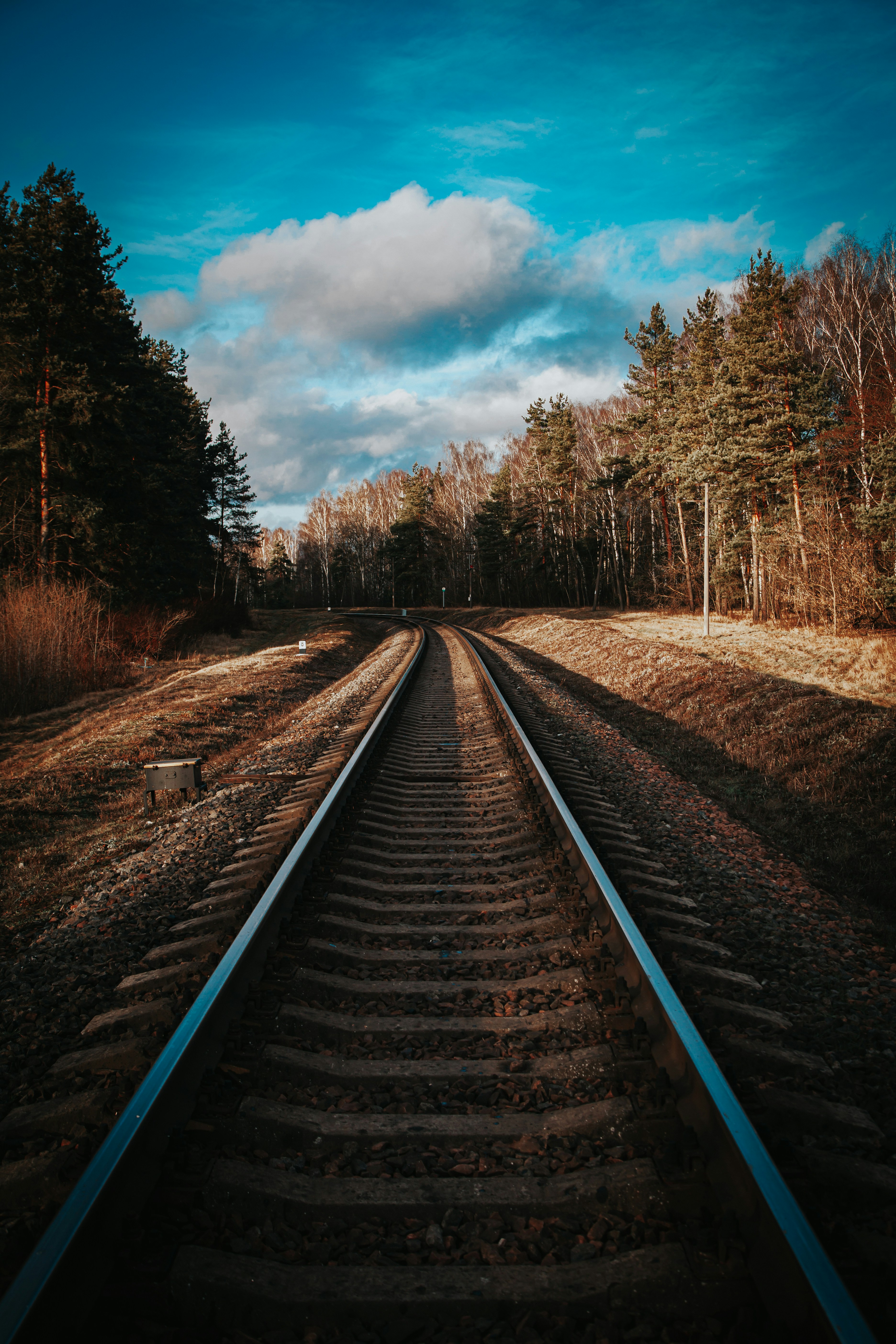 Photo by kiselewaleksey