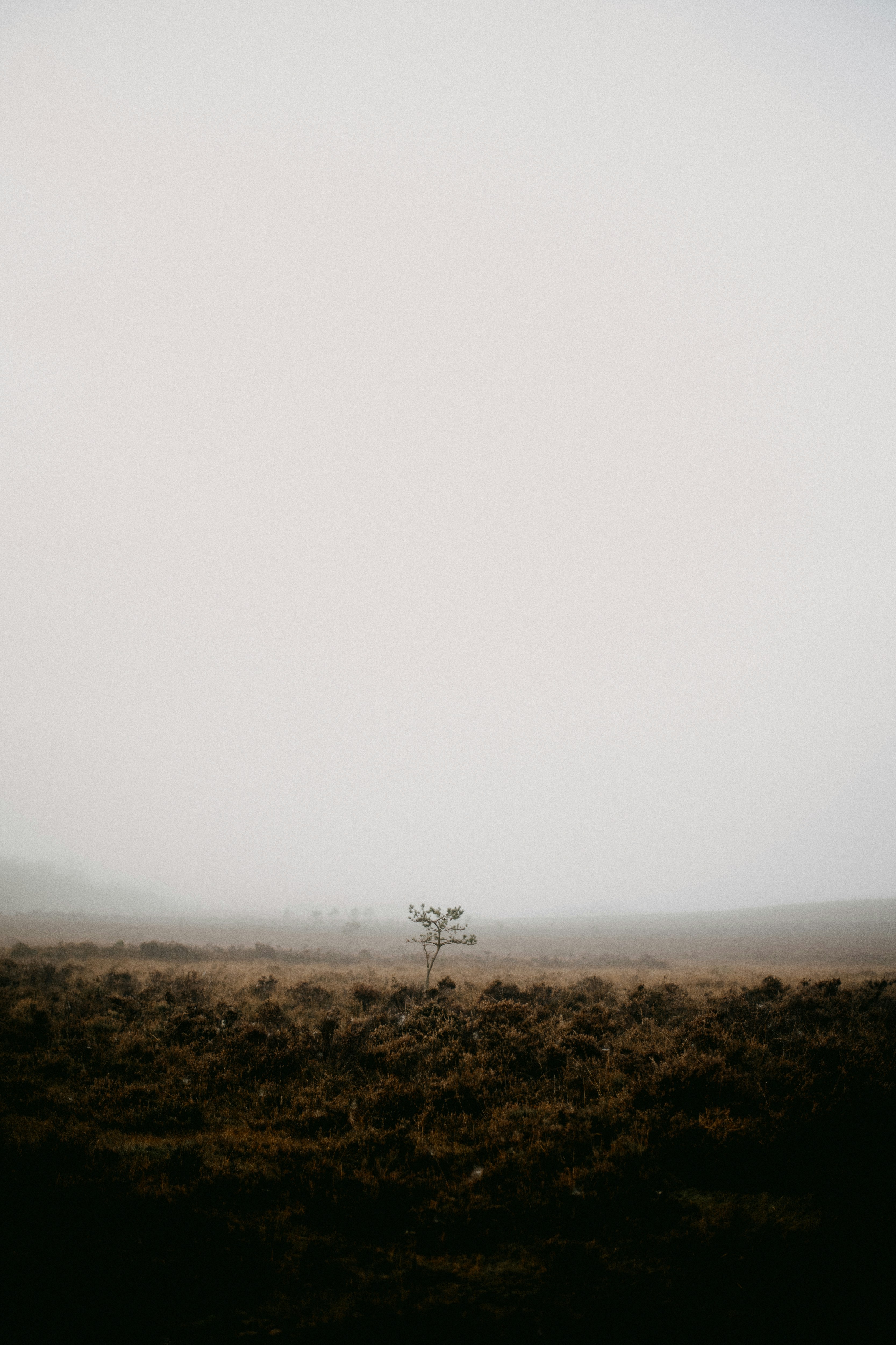 minimalist earth tones, wallpaper, Mineral Makeup for Acne: Why It's Often Better 4