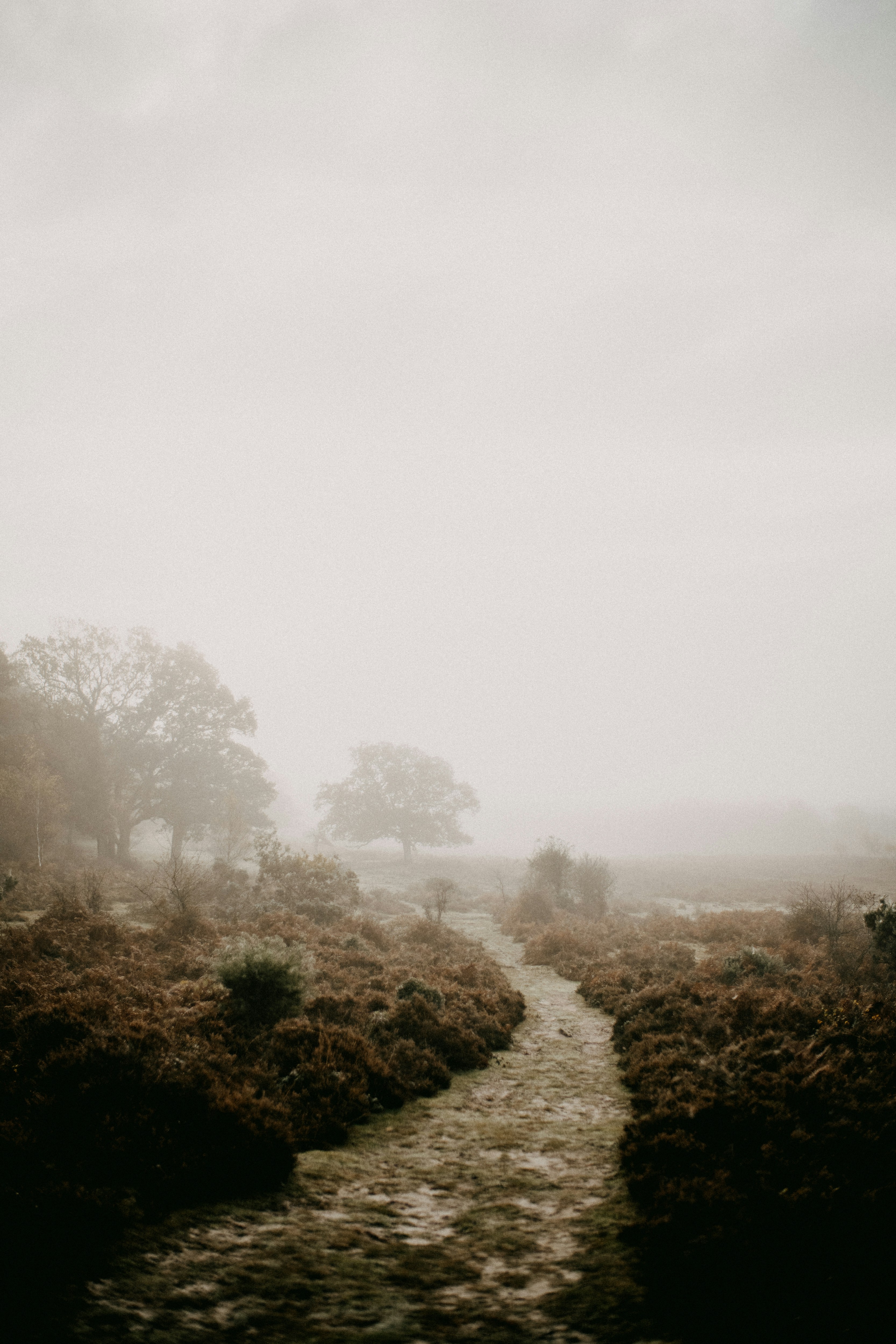 Photo by anniespratt