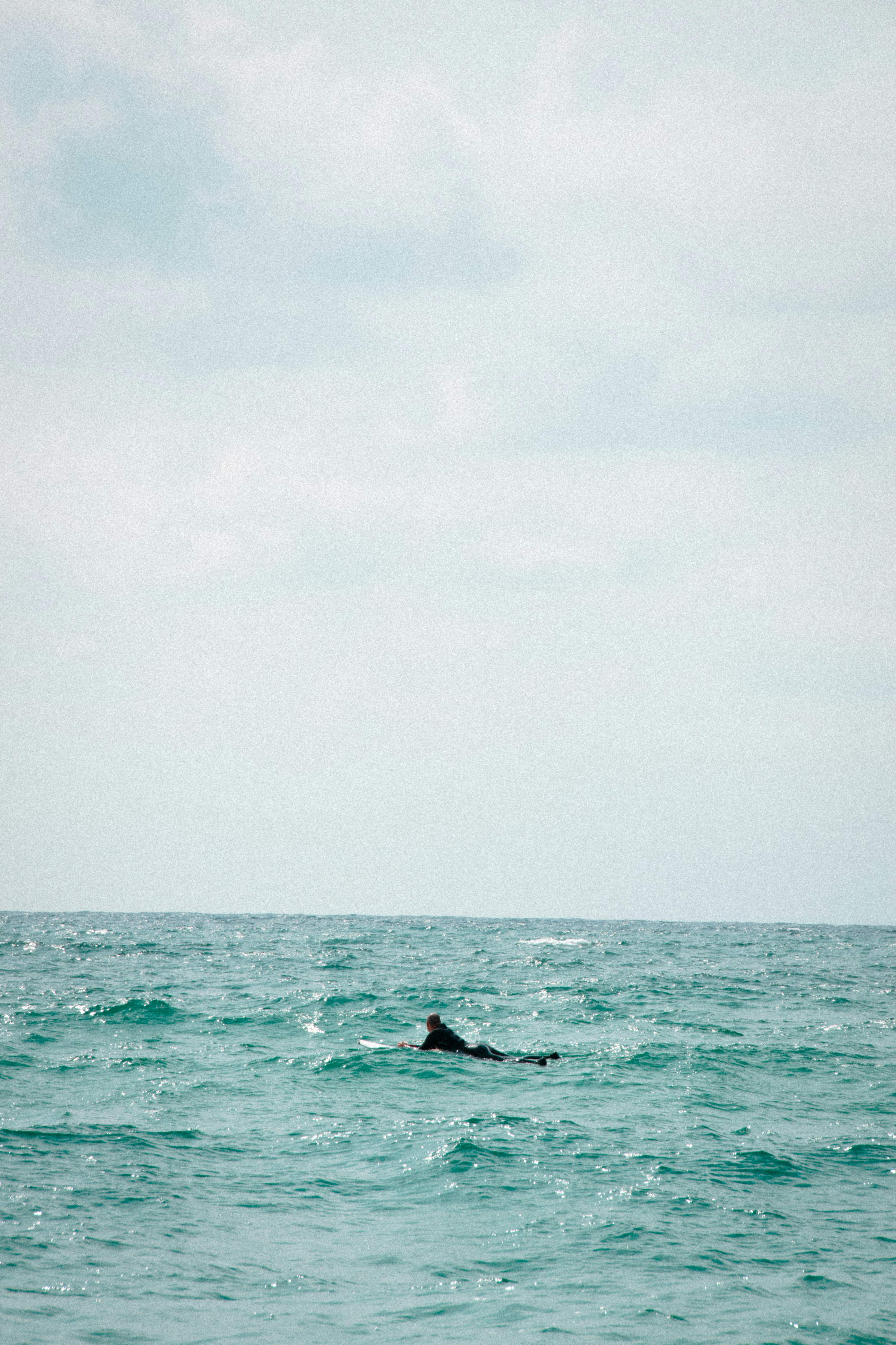 A dolphin breaching the water in Hawaii