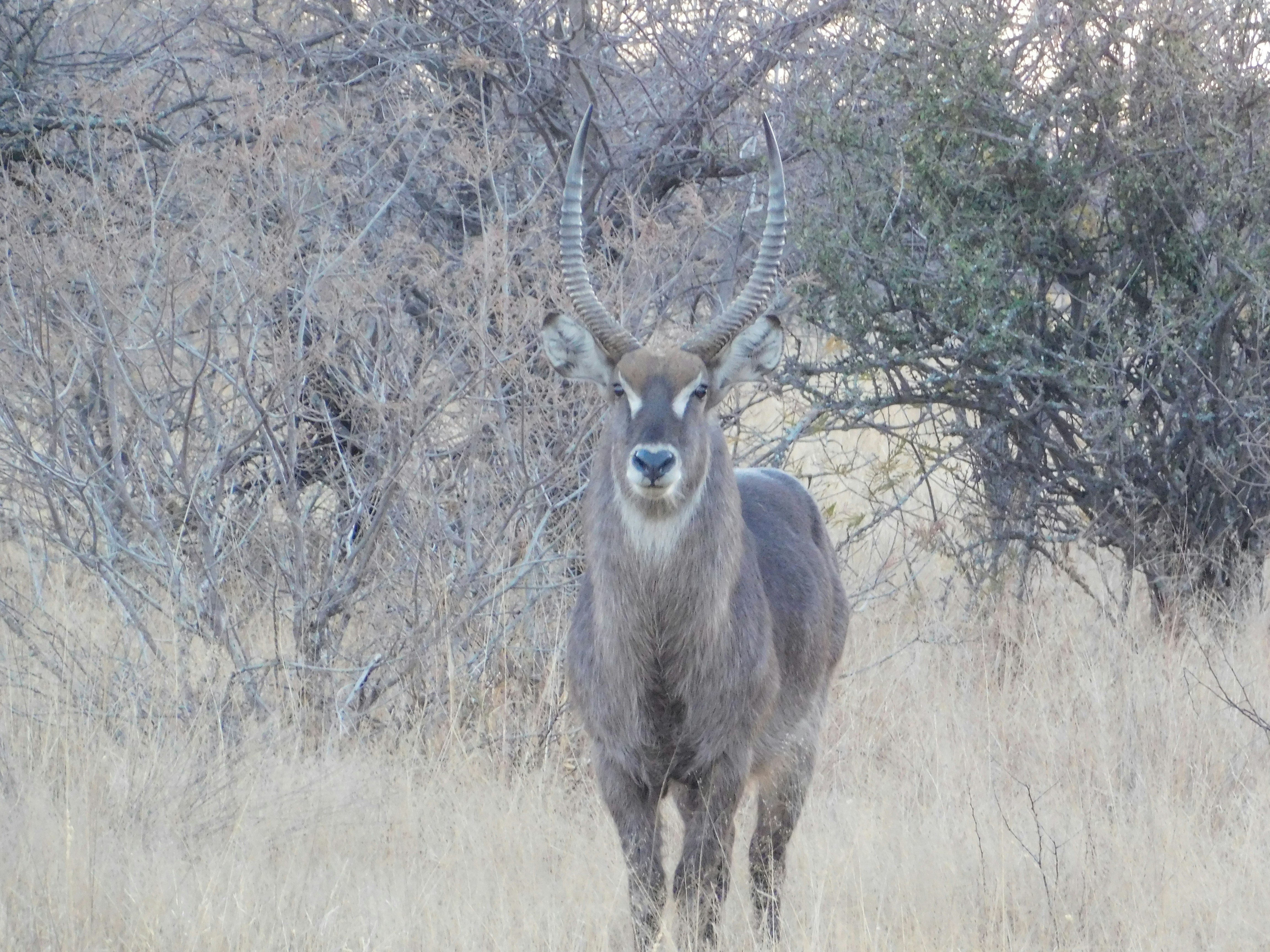 Photo by armandkamffer