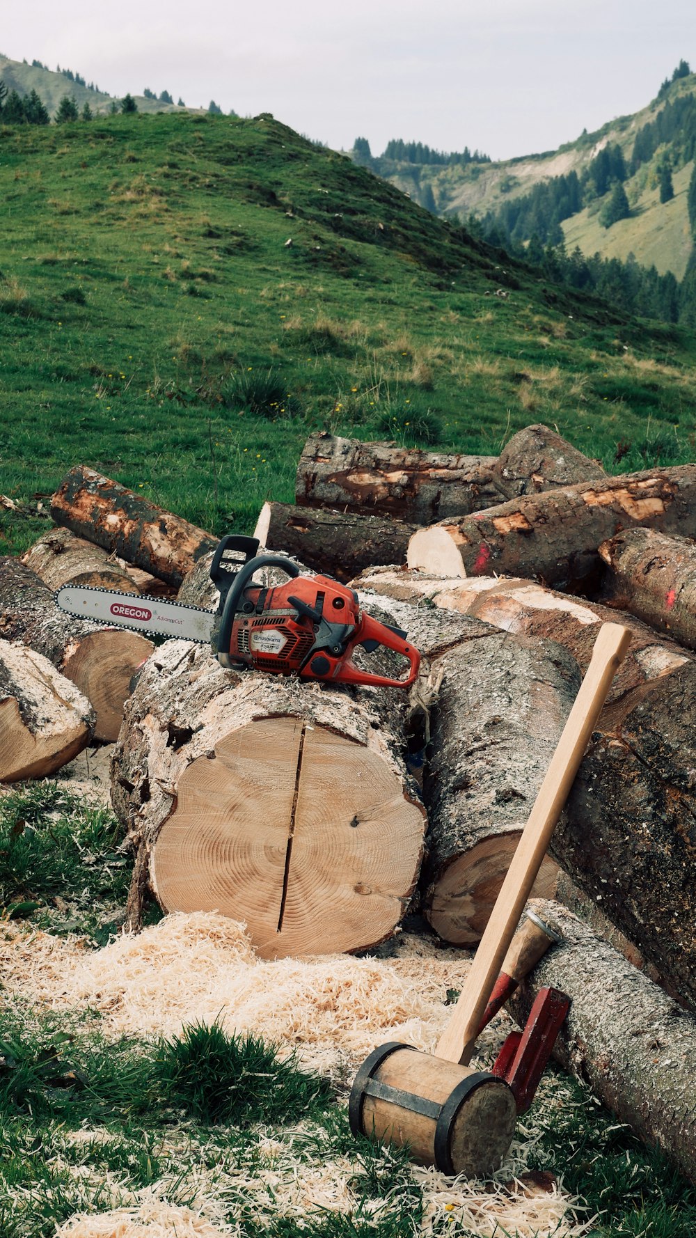 un tocón de árbol con una motosierra encima