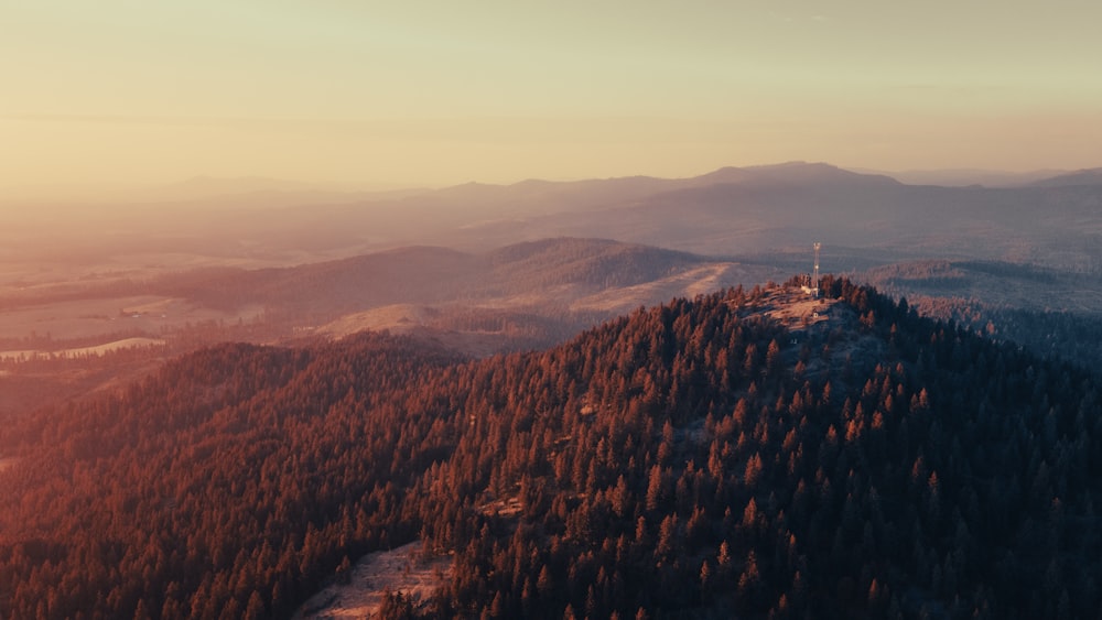 a scenic view of a mountain with a forest in the foreground