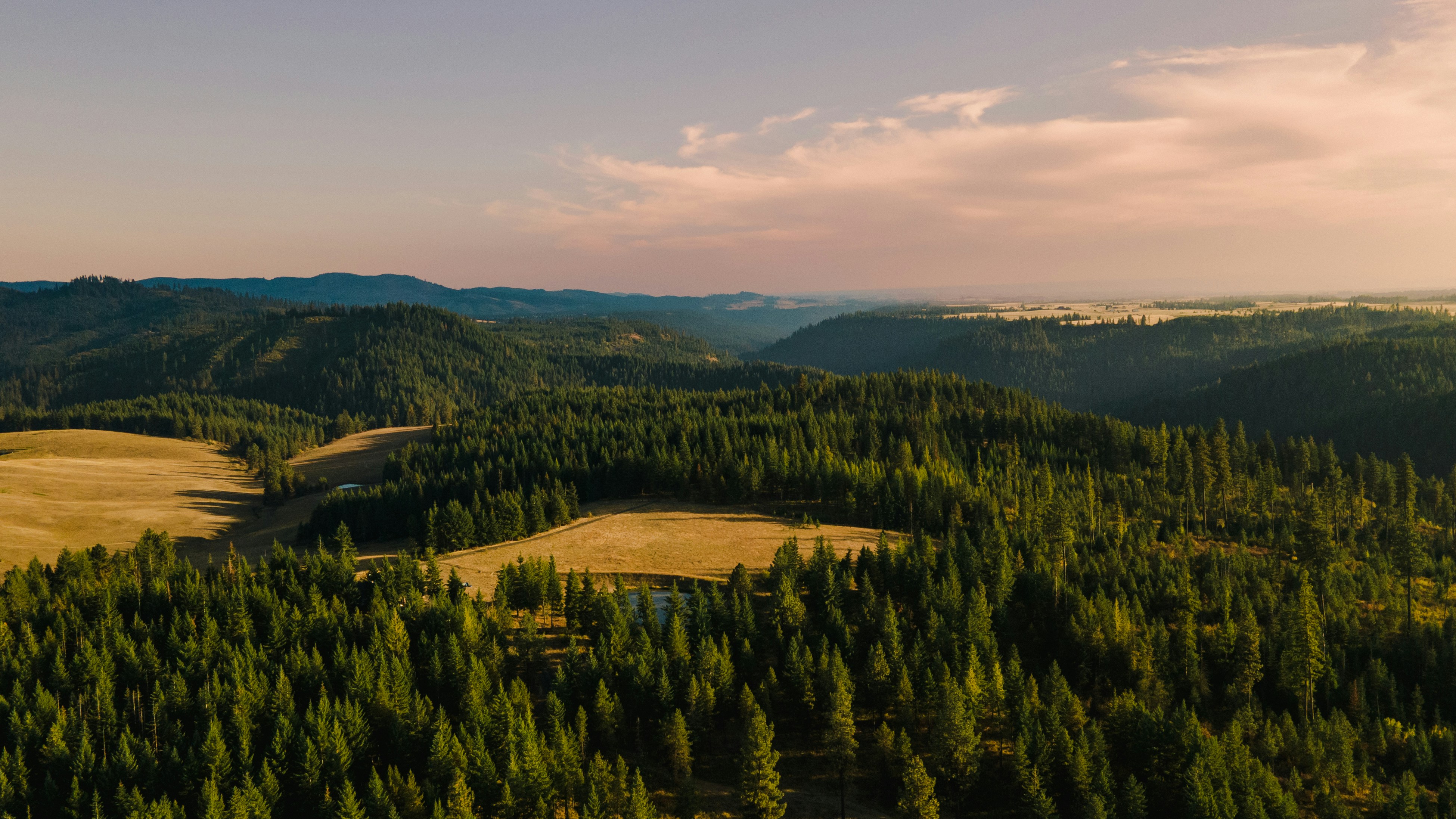 Photo by matthewelancaster