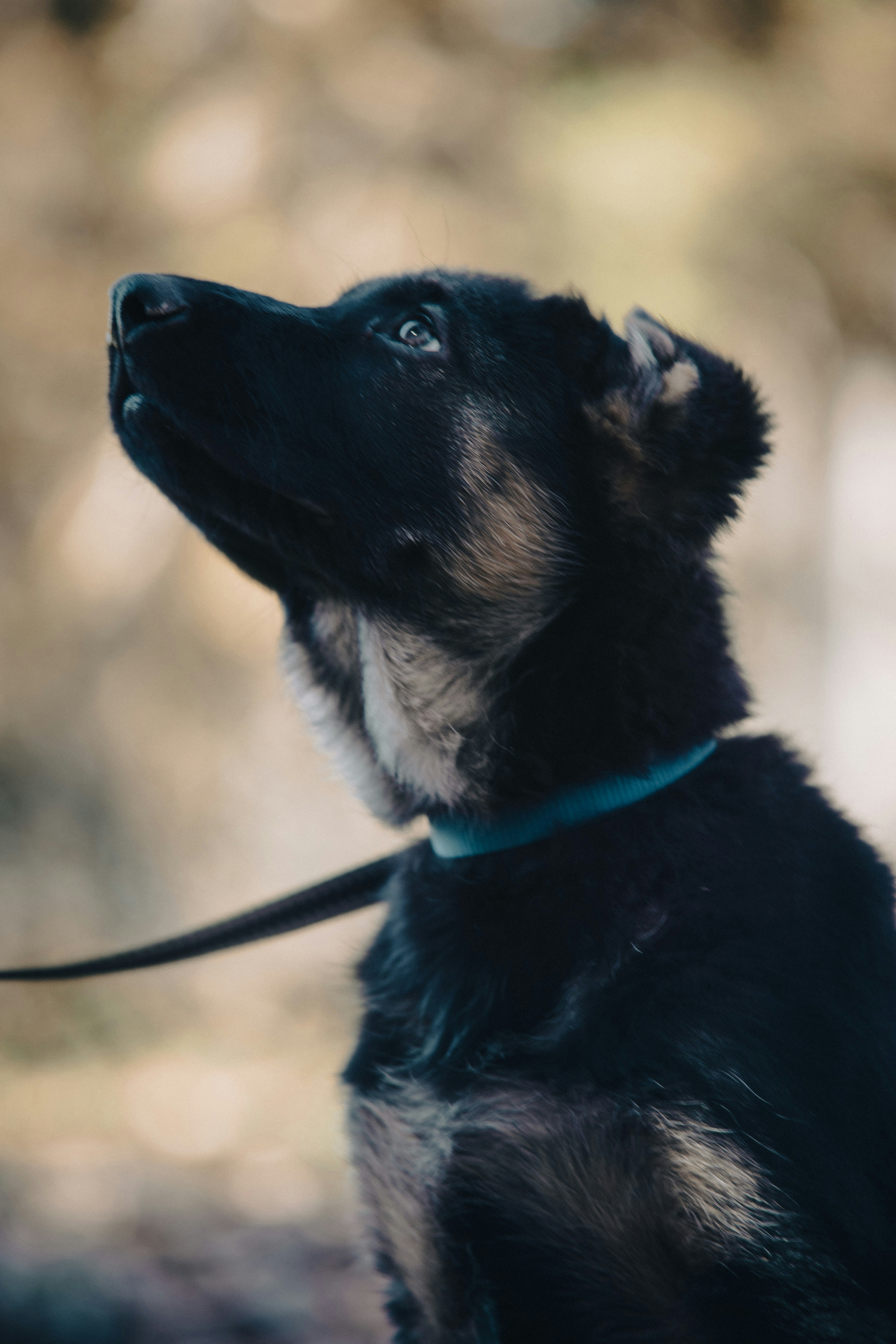 Photo by matthewelancaster