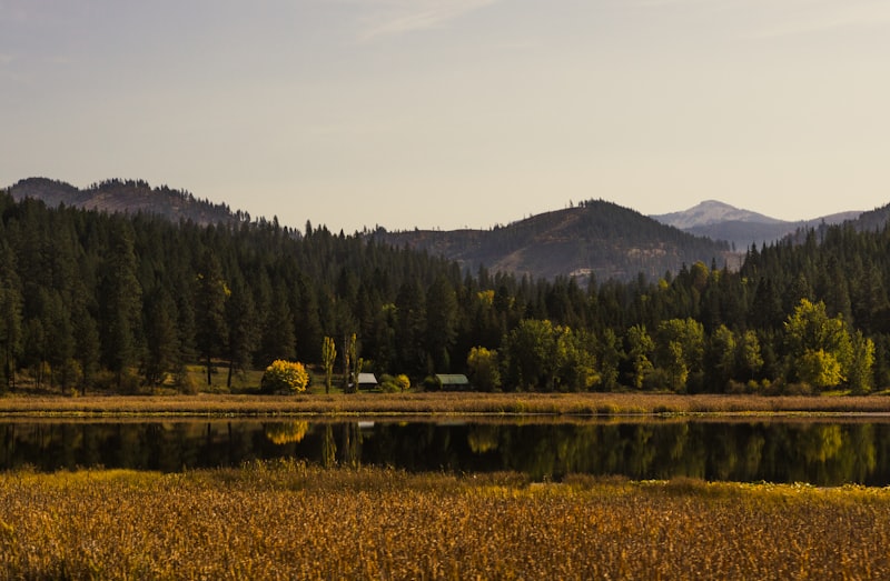 Idaho landscape