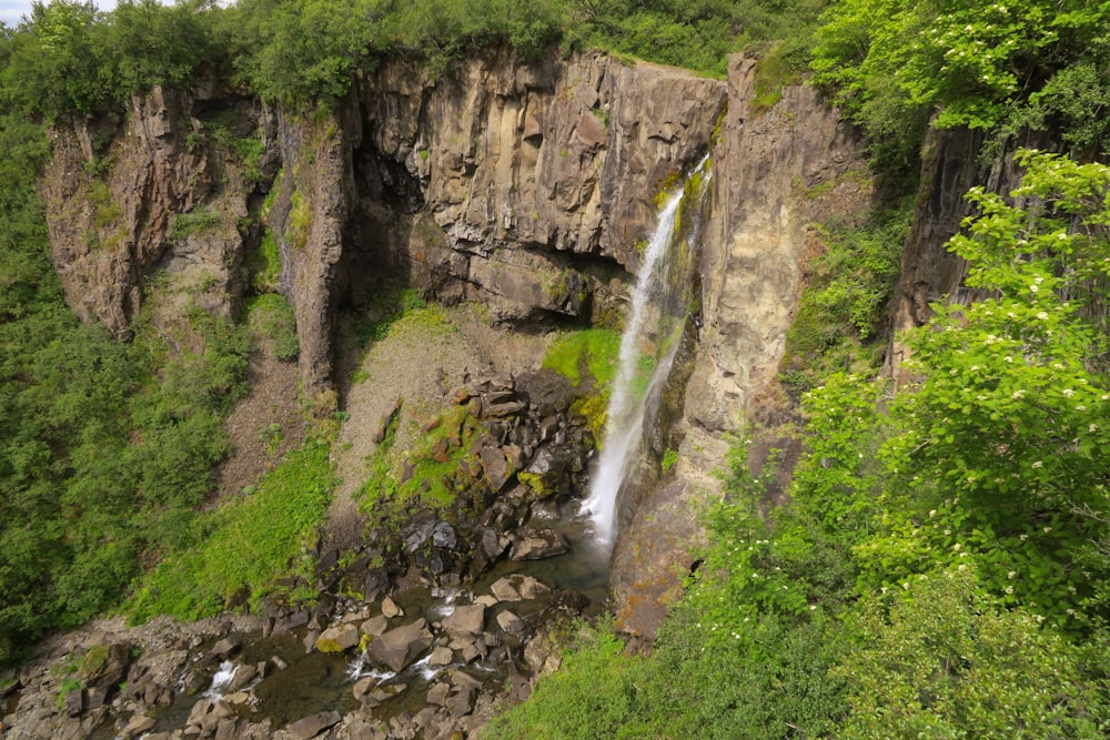 a waterfall in the middle of a lush green forest