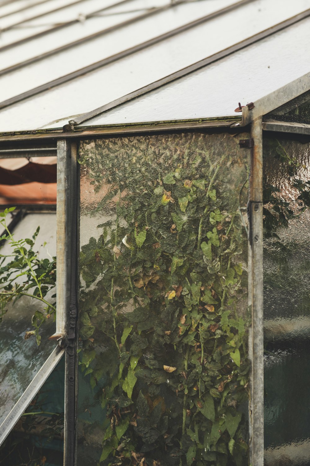 a green house with plants growing inside of it