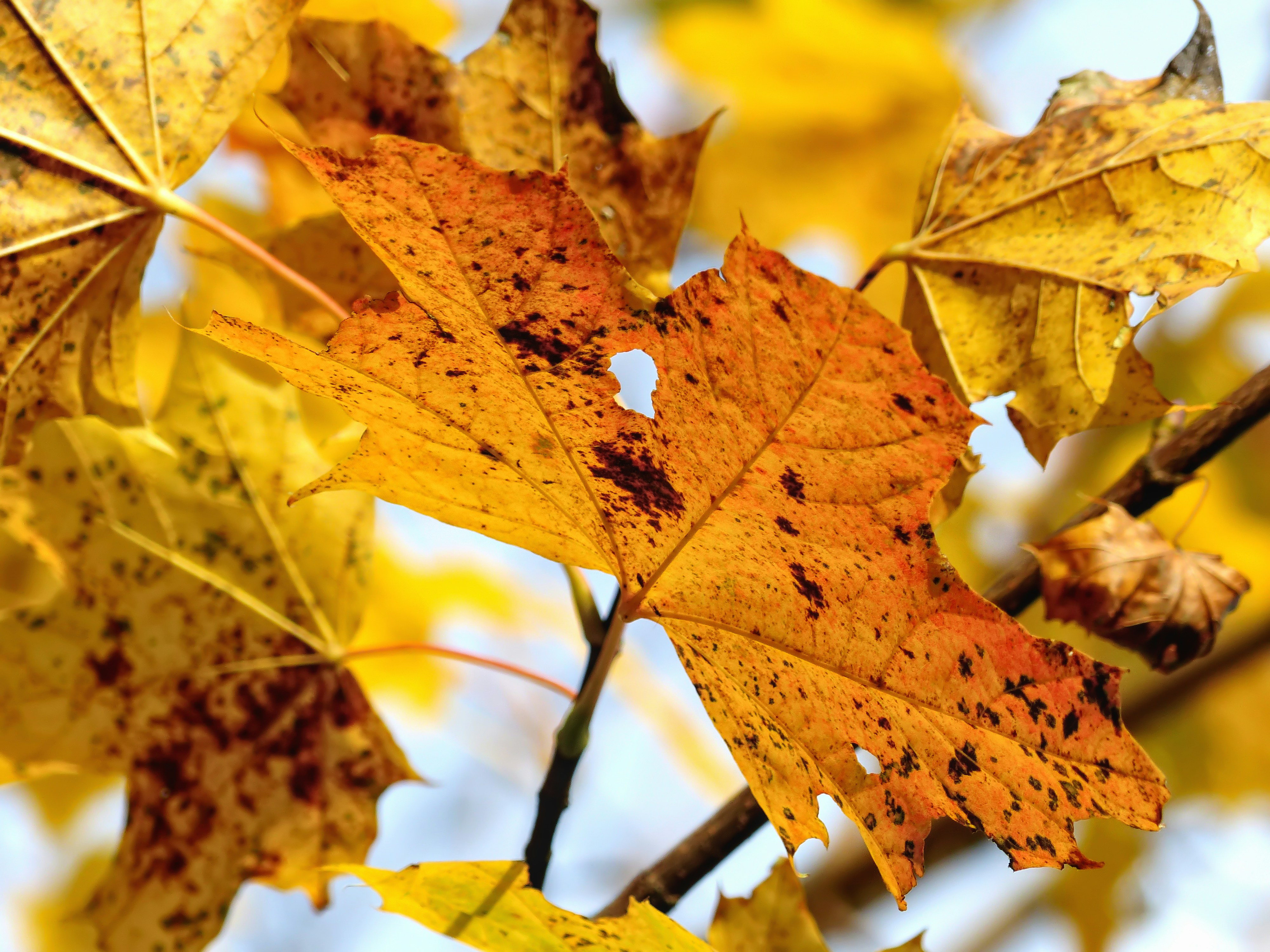 Photo by j_blueberry