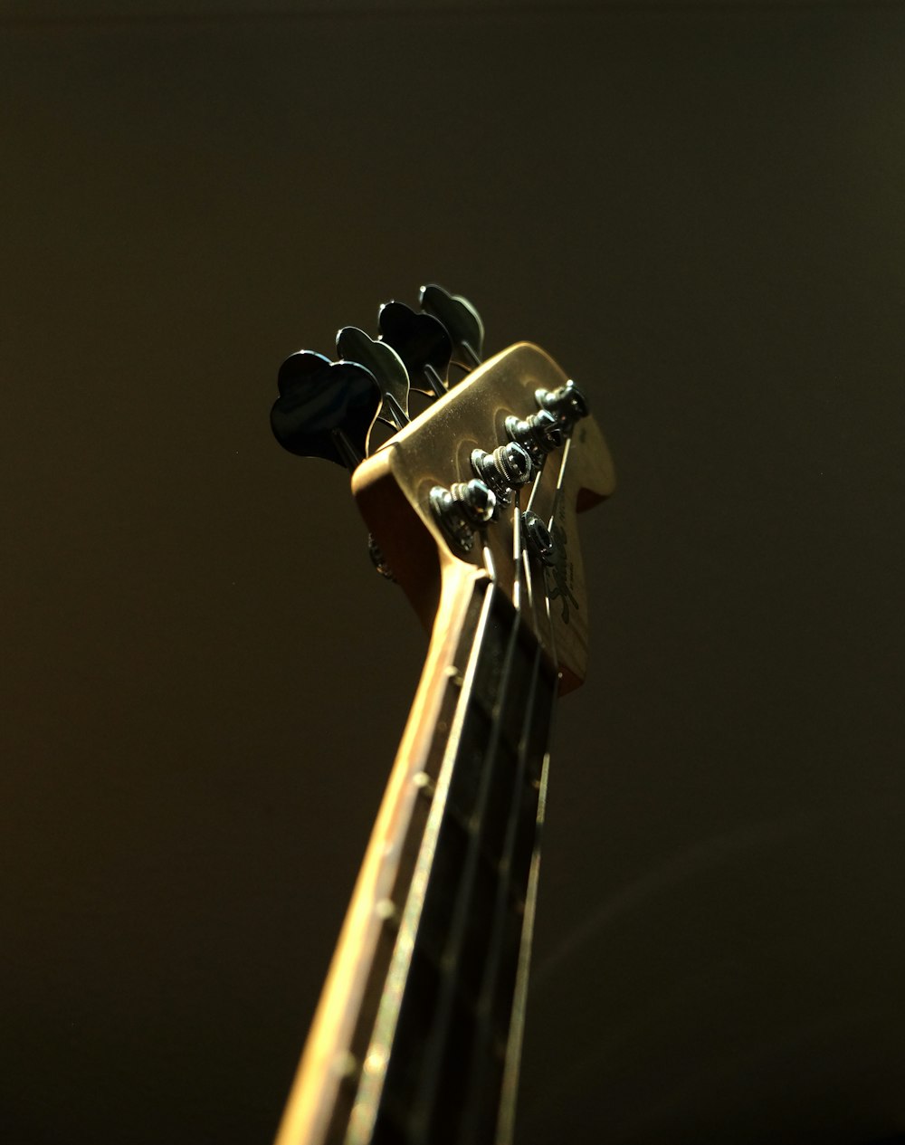 a close up of a guitar's neck and frets