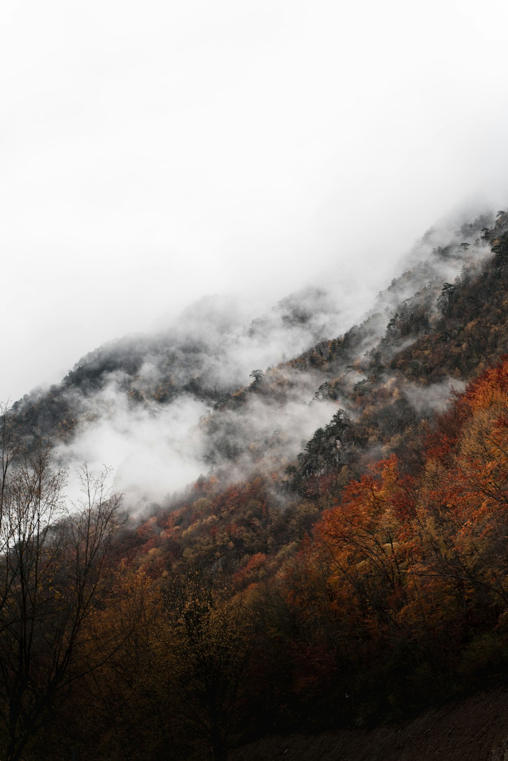 a mountain covered in clouds and trees