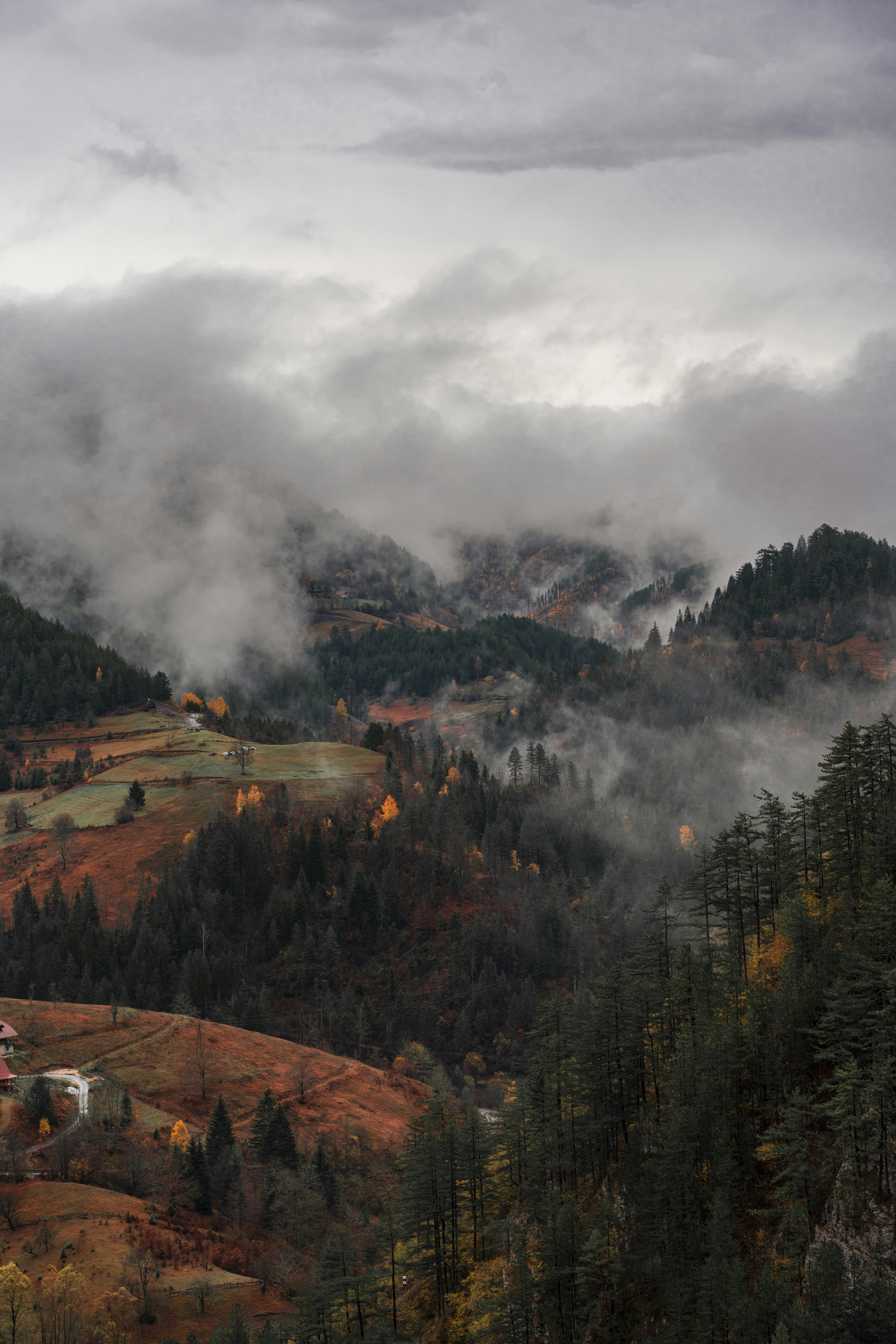 Photo by djordjevukojicic