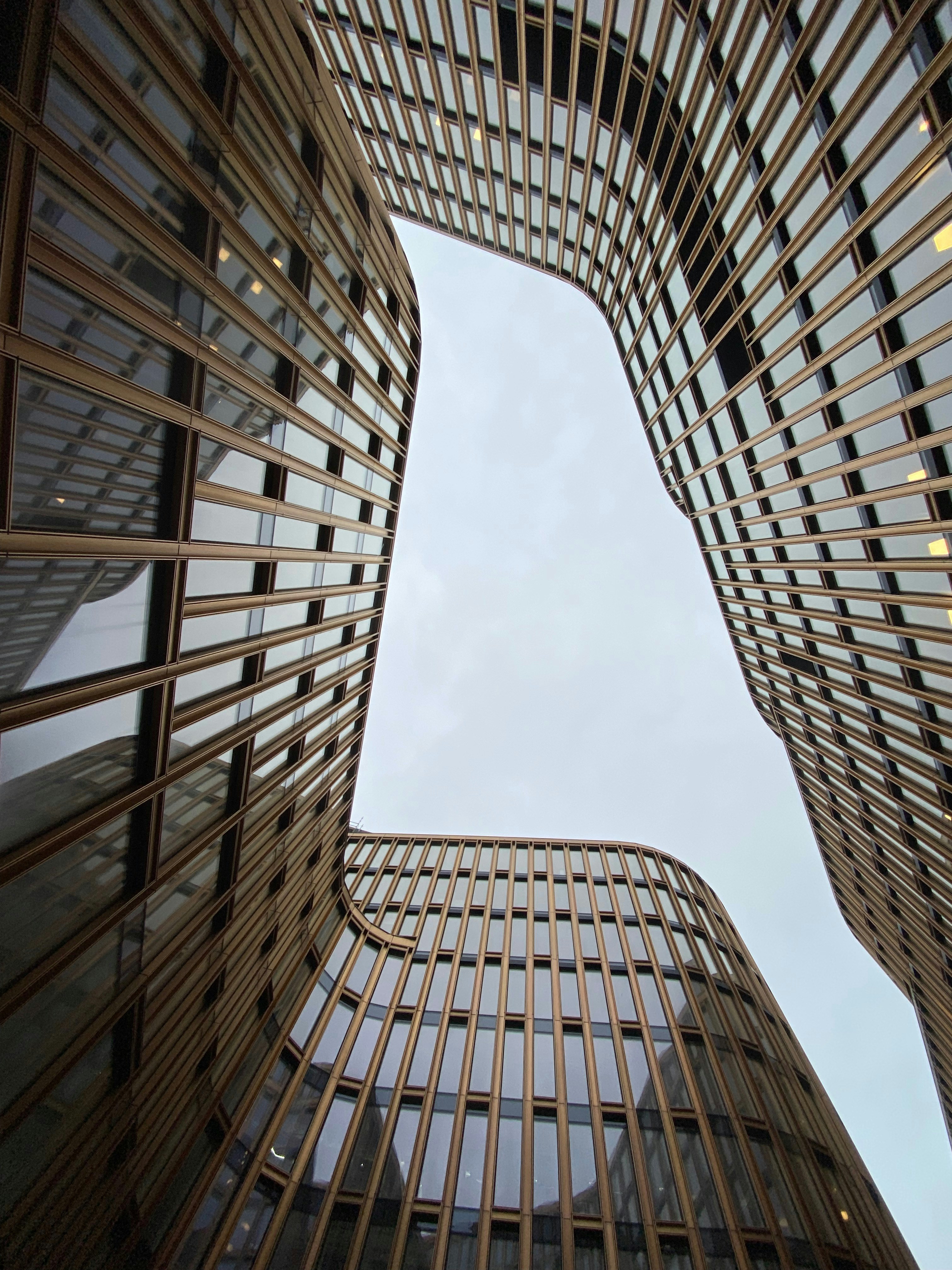 Photo by lars_petter_windelstad