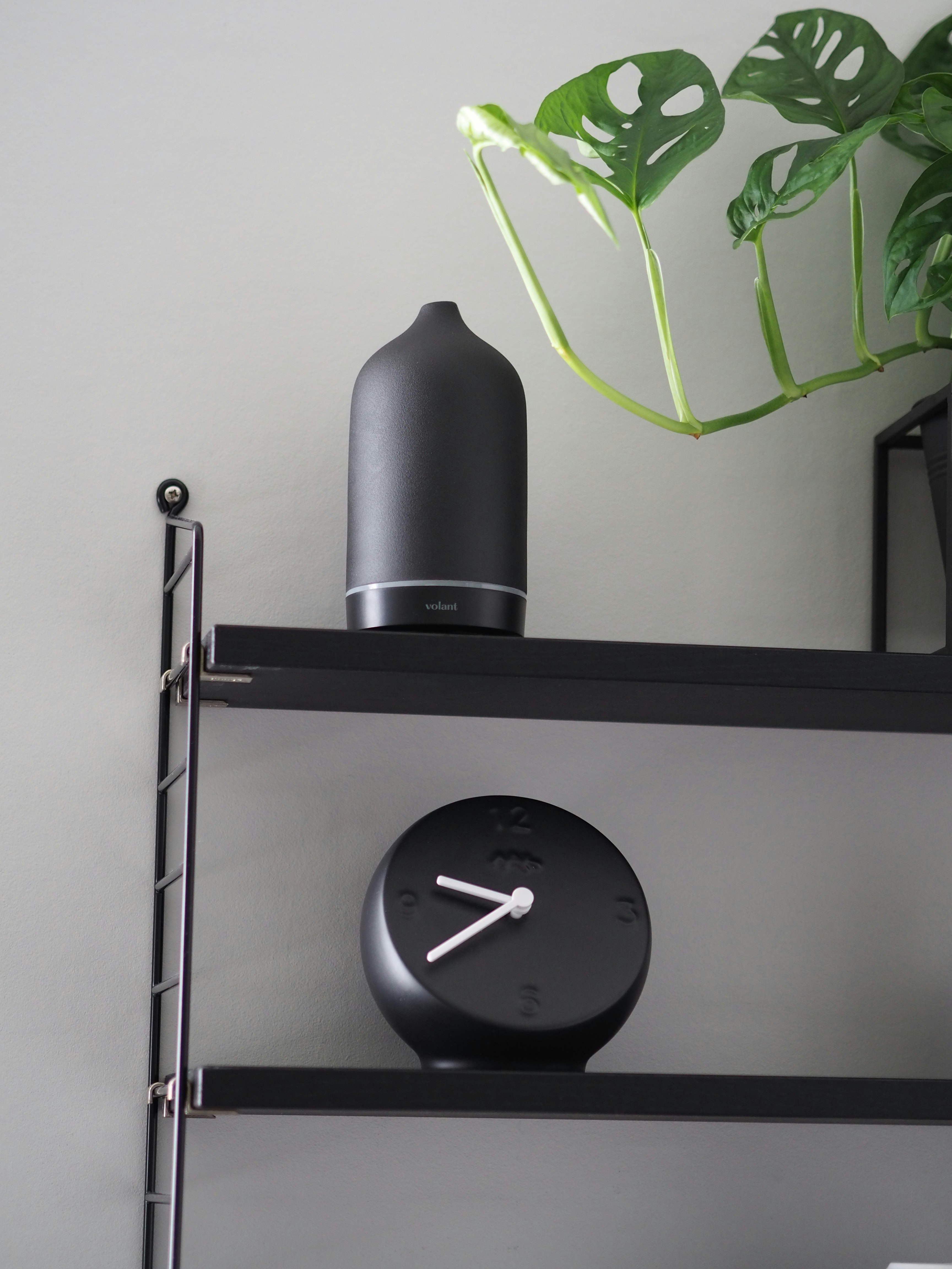 Photo by volantaroma