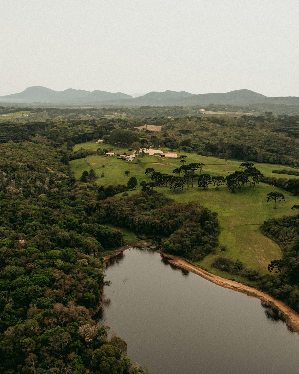 a large body of water surrounded by lush green trees