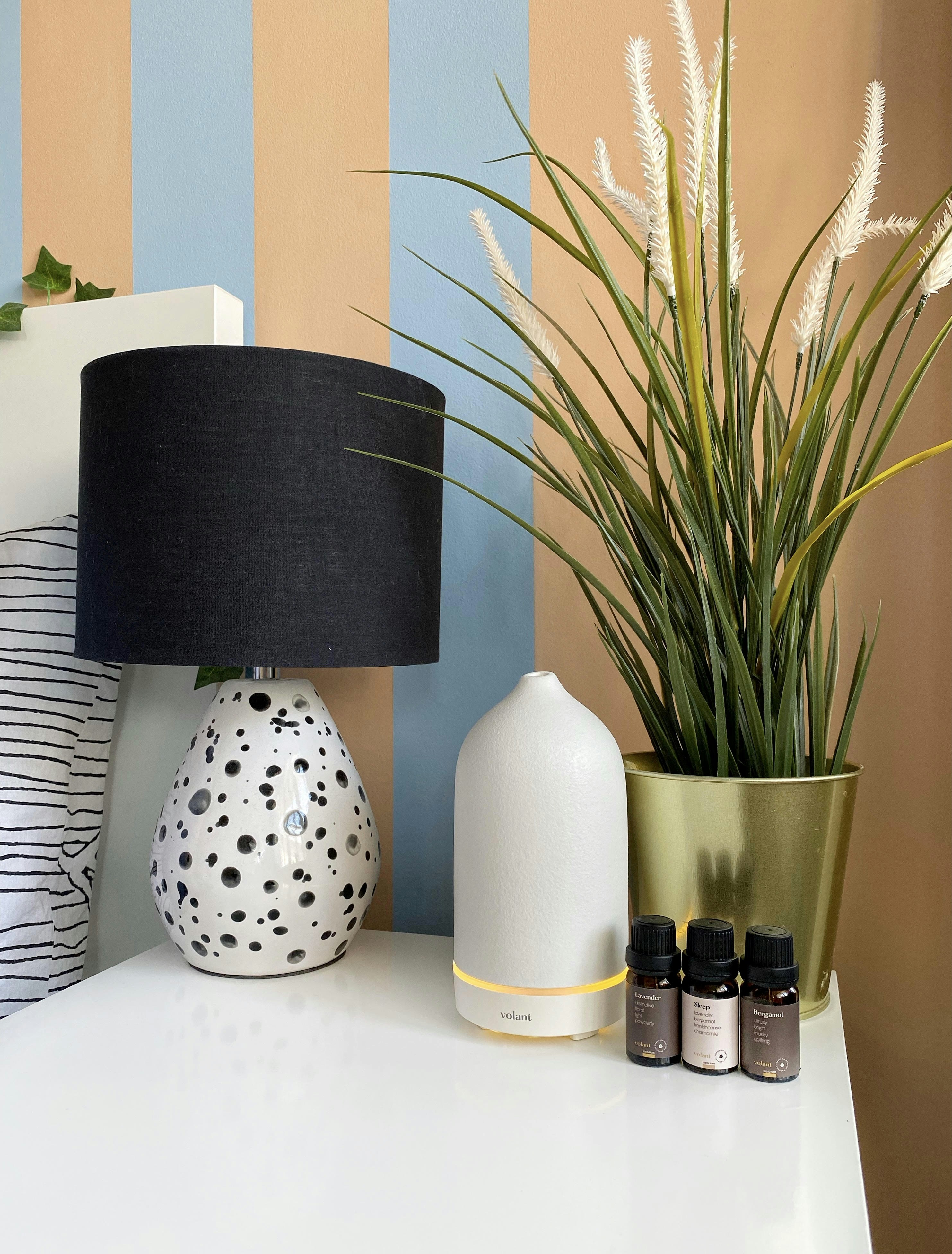 Photo by volantaroma