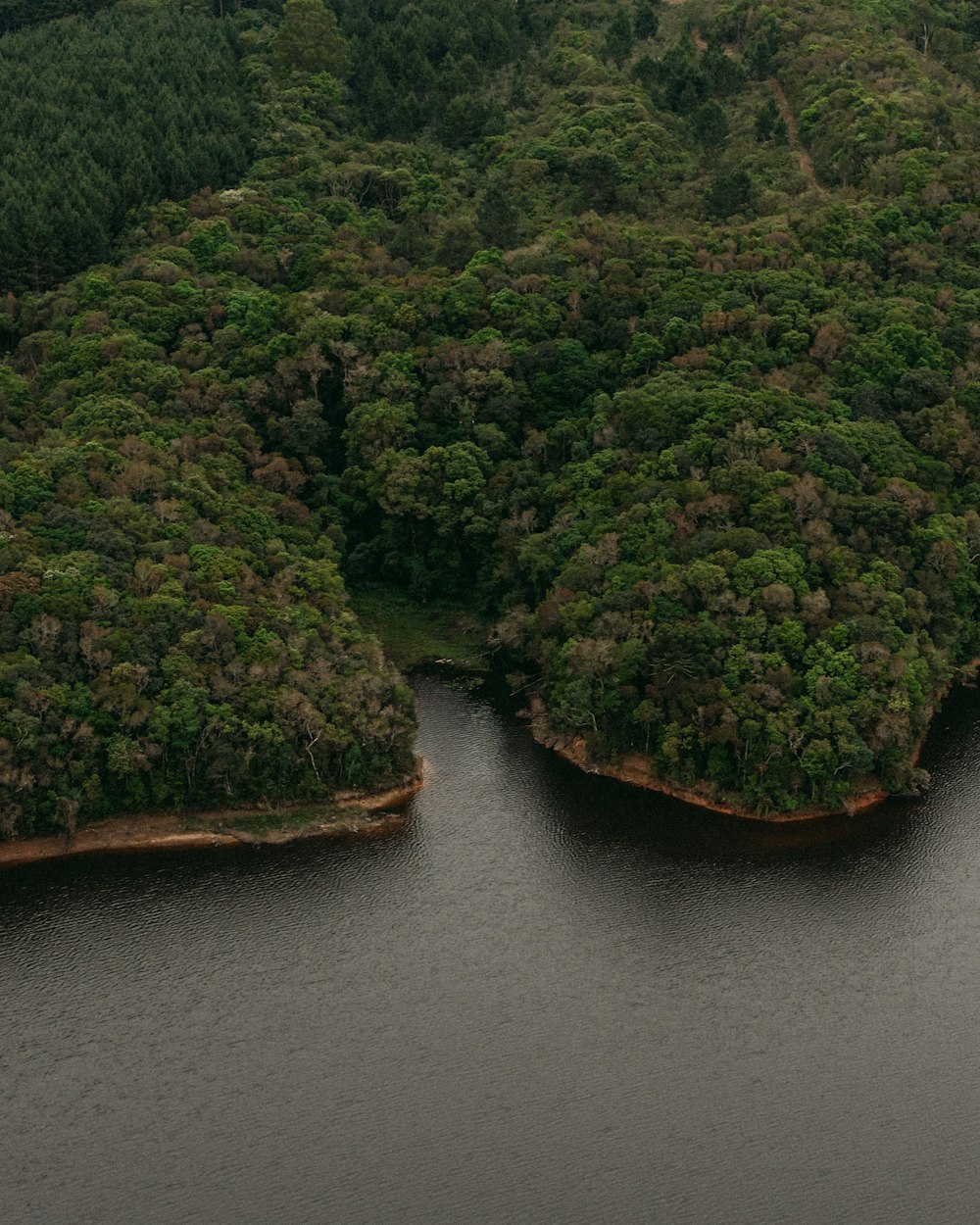 una gran masa de agua rodeada de exuberantes árboles verdes