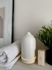 Sorte de lampe blanche et une plante verte à côté 