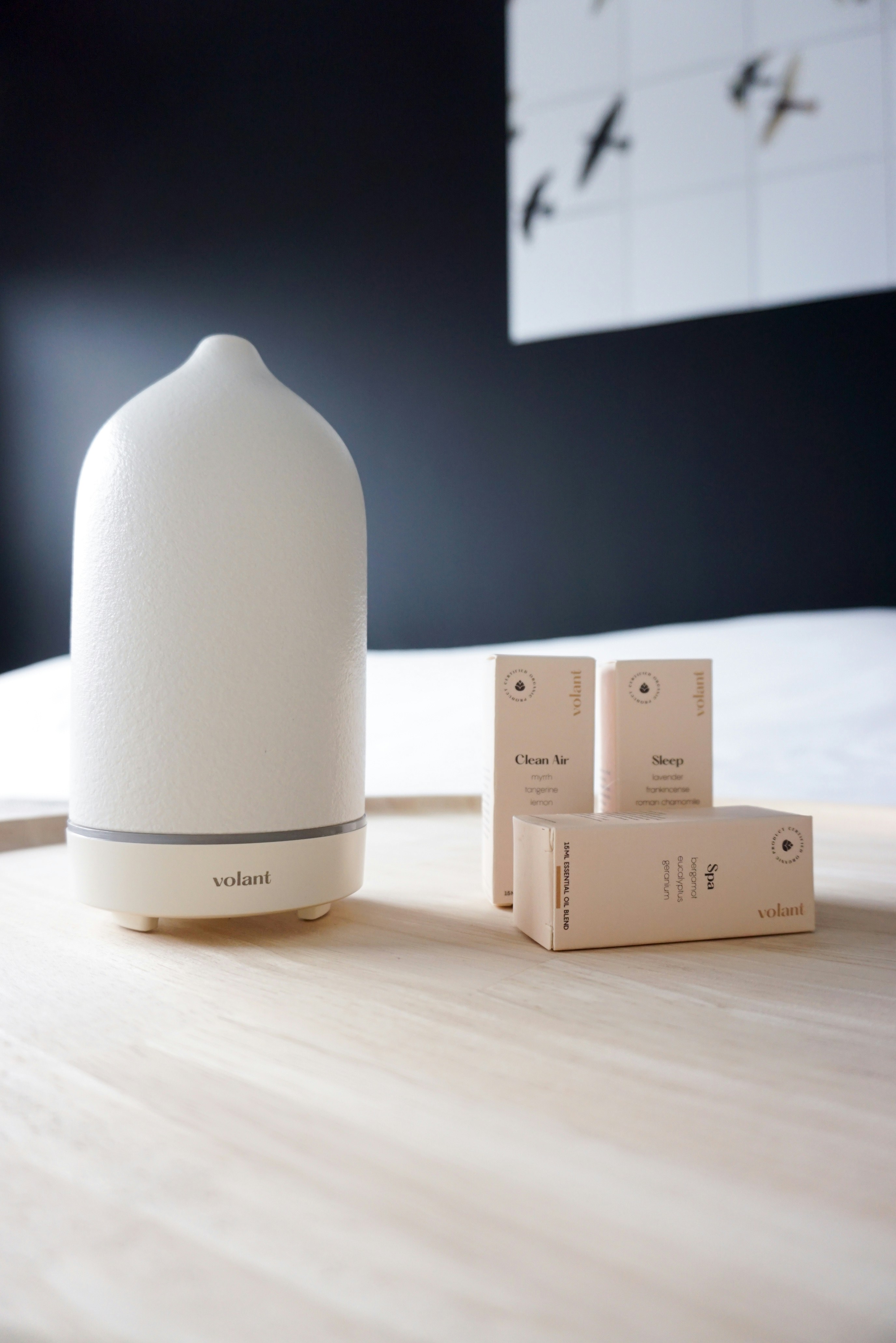 Photo by volantaroma