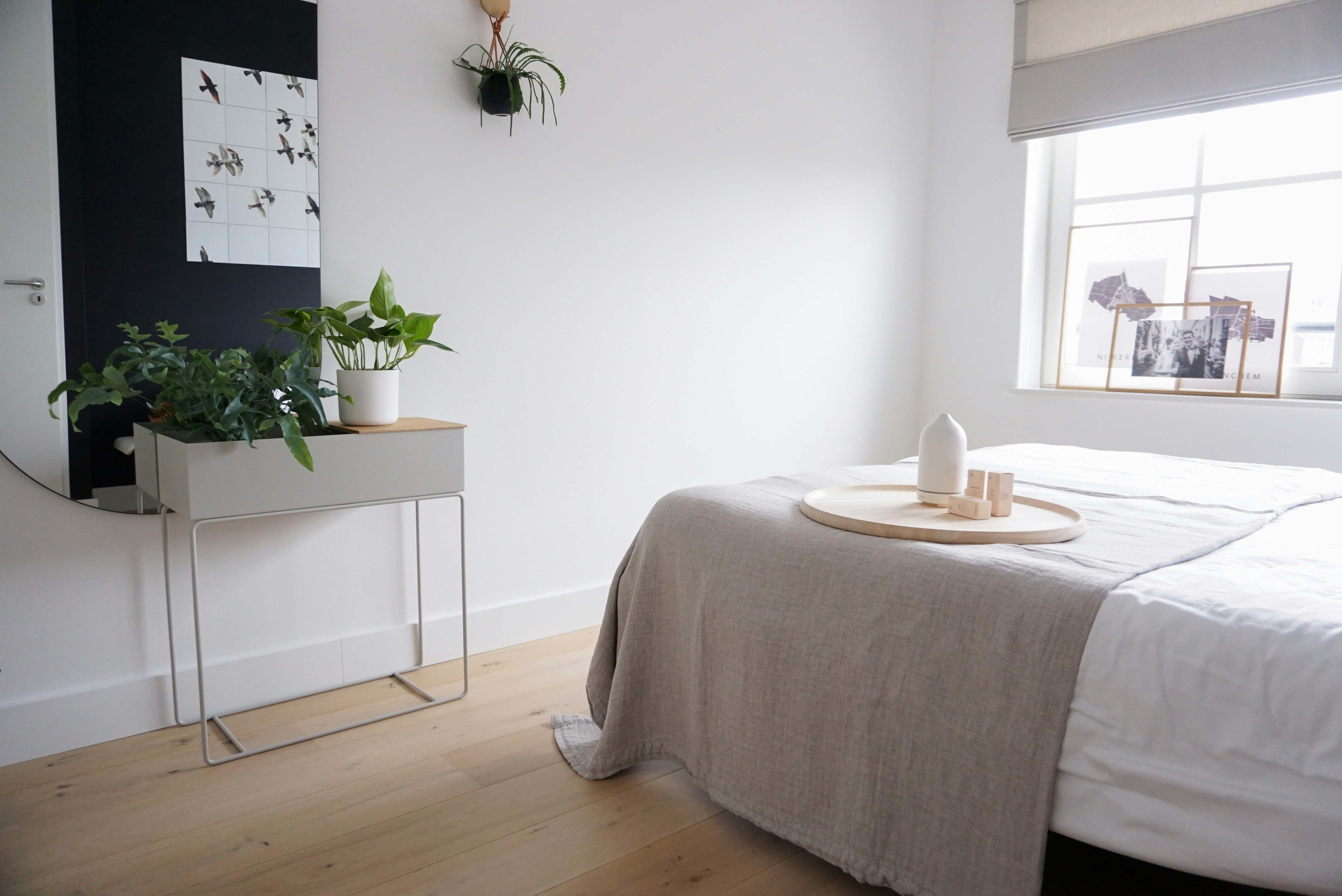 Photo by volantaroma