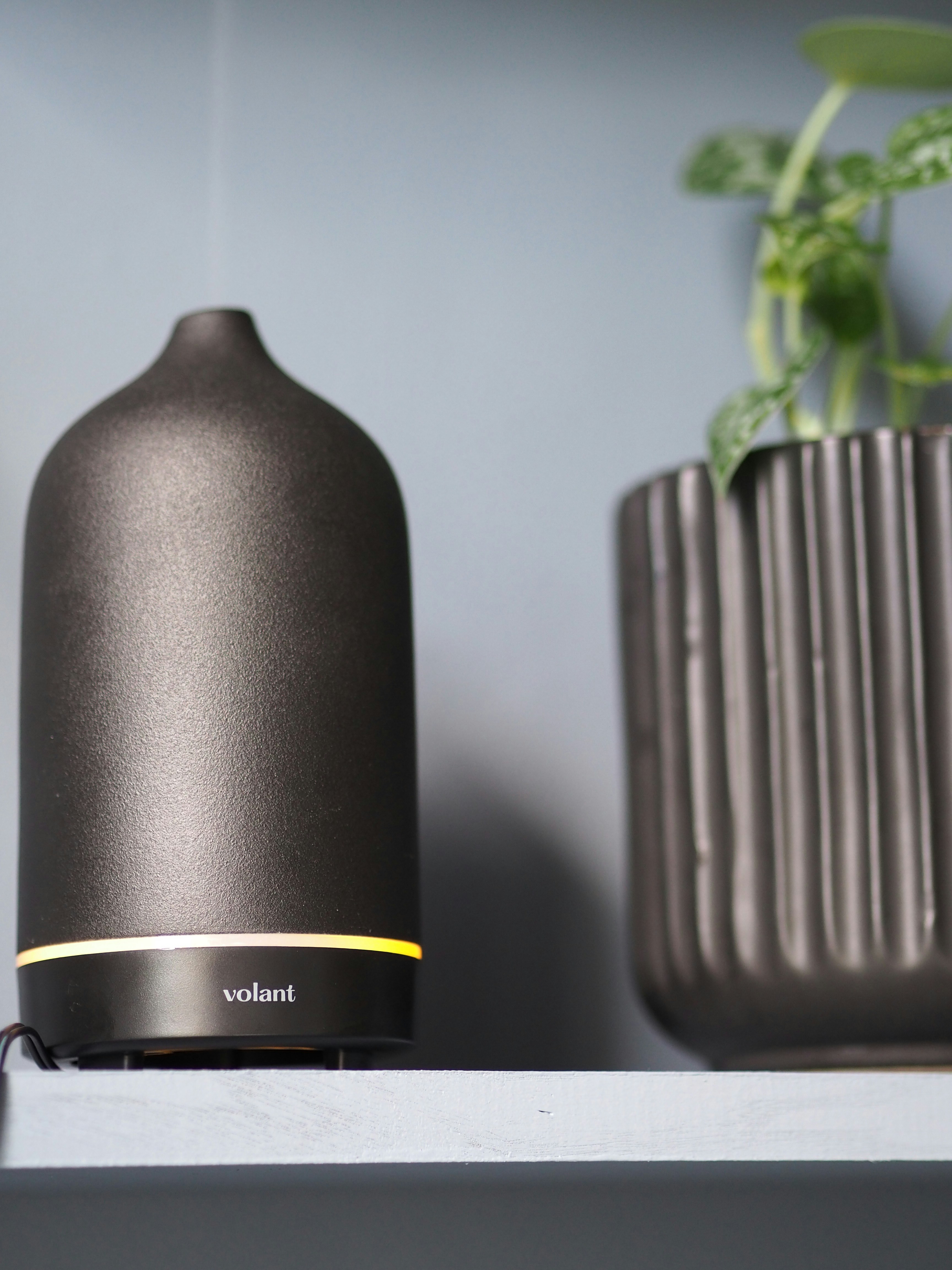 Photo by volantaroma