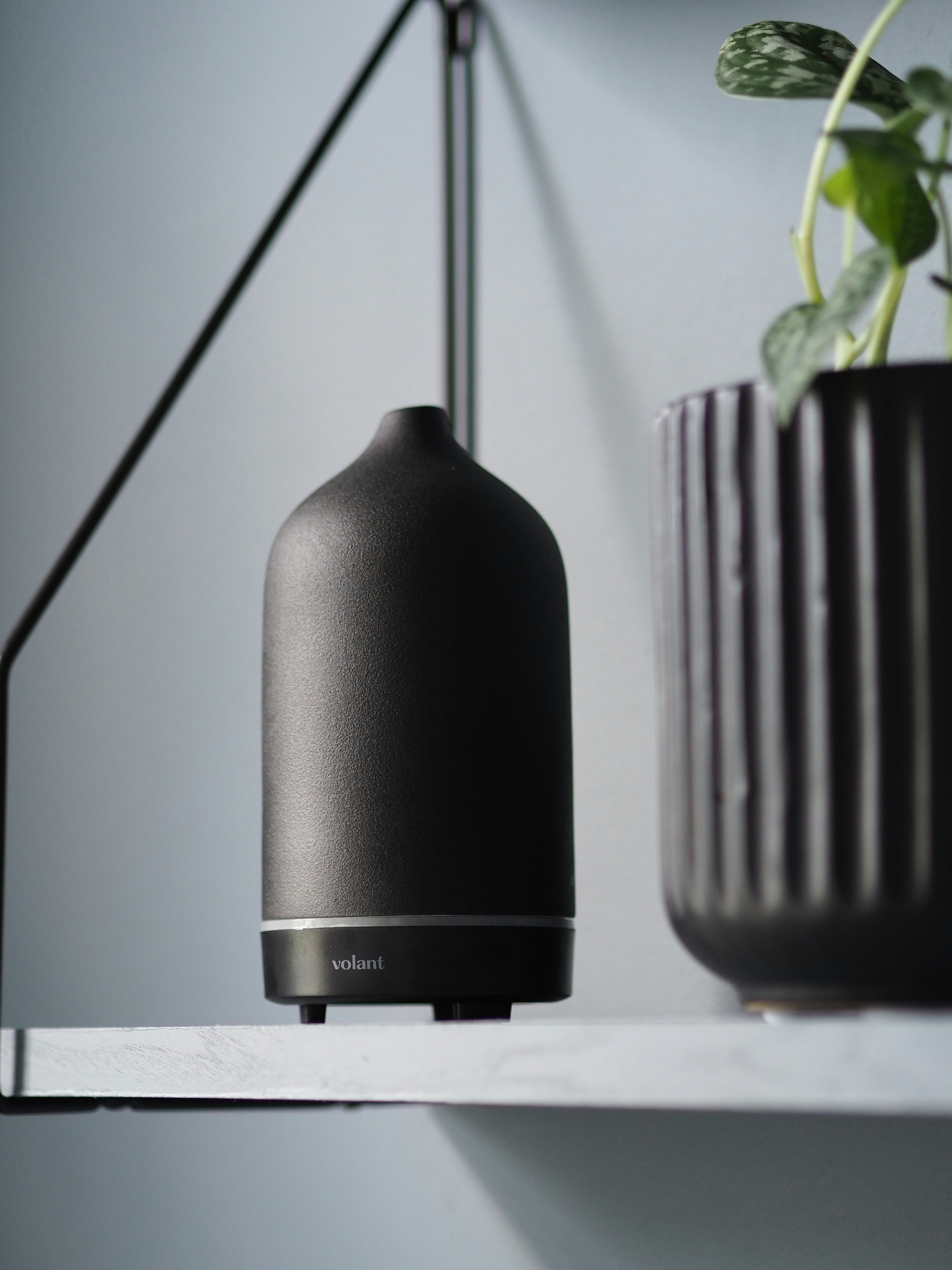 Photo by volantaroma