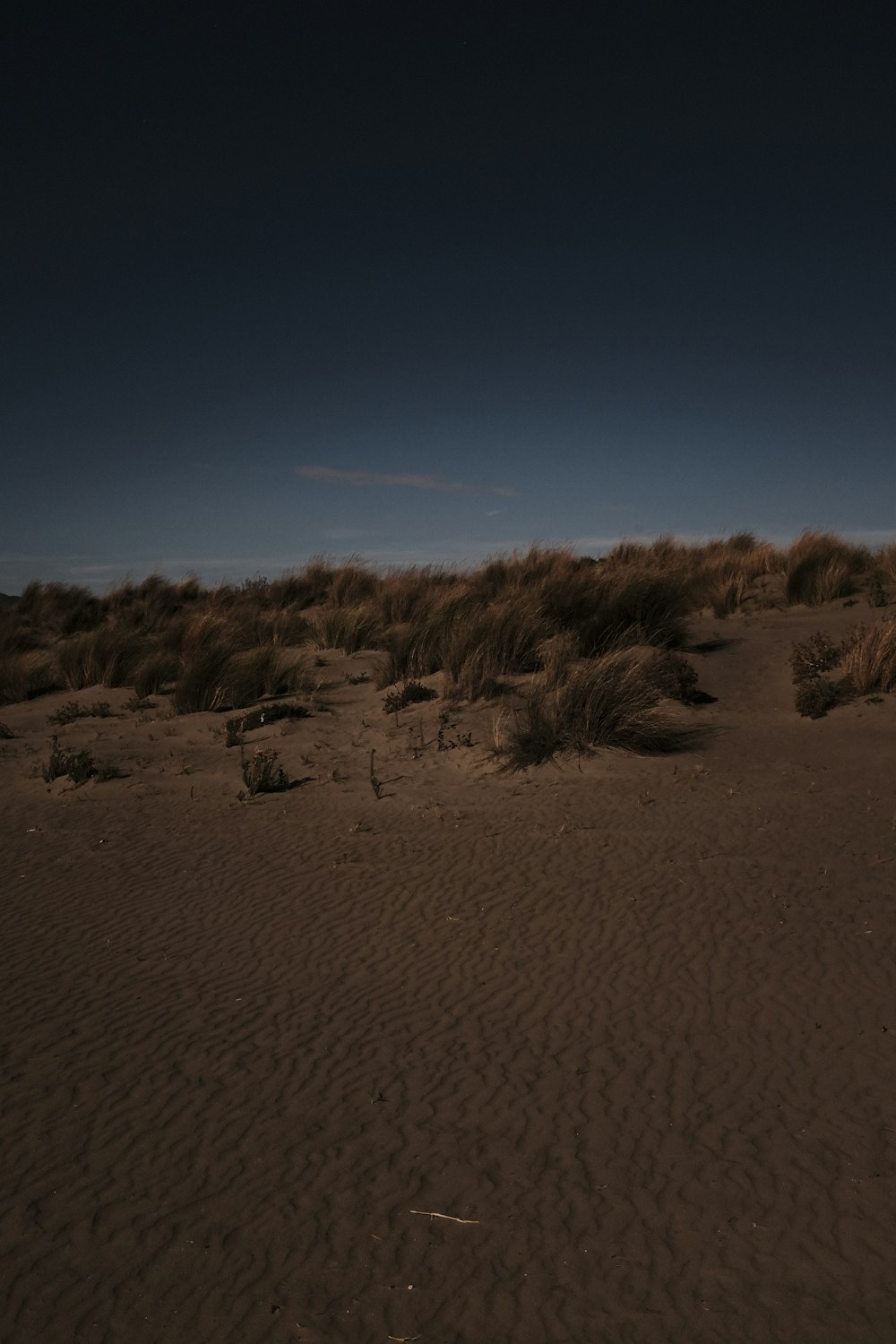 a lone horse standing in the middle of a desert