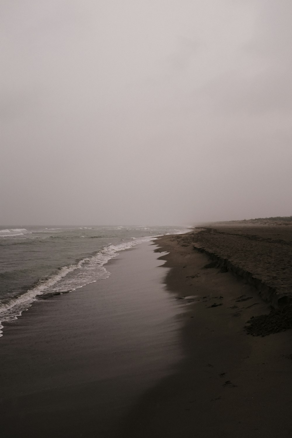 해변과 바다의 흑백 사진
