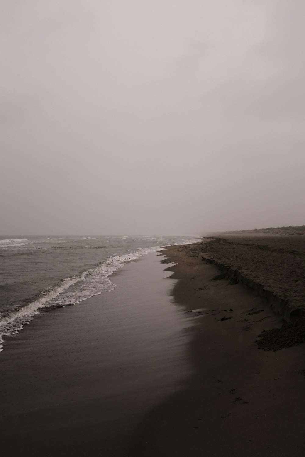 a black and white photo of a beach and ocean