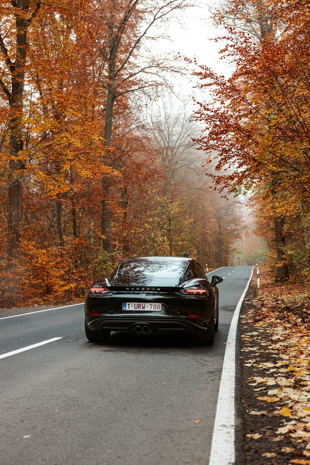 a black car driving down a road surrounded by trees