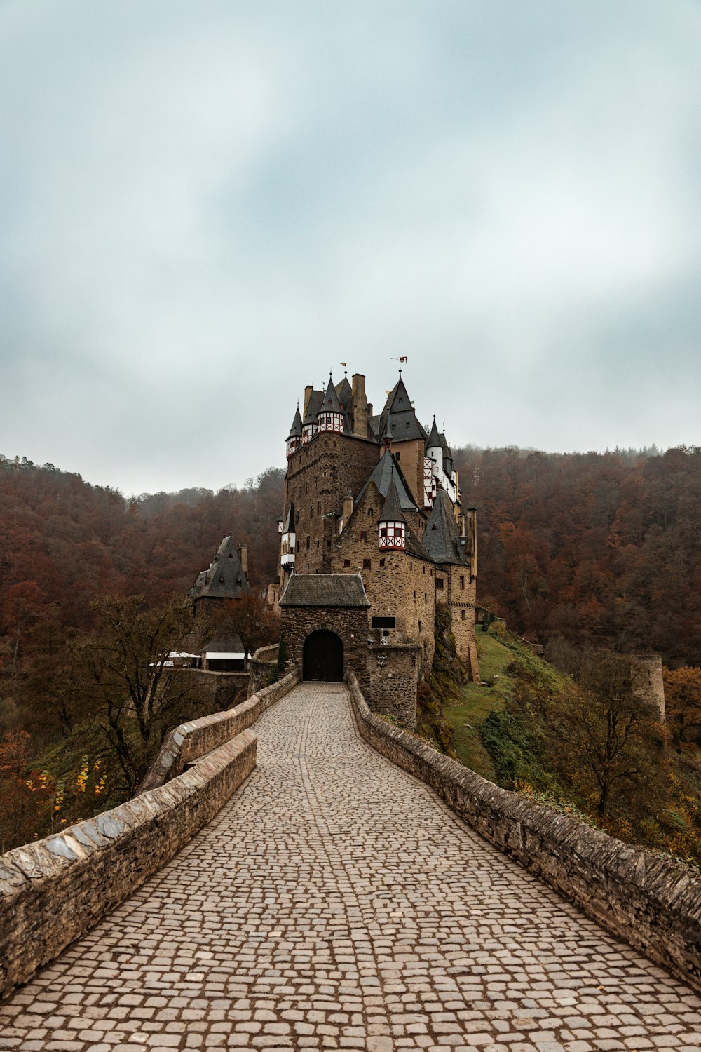 a stone walkway leading to a castle in the middle of a forest